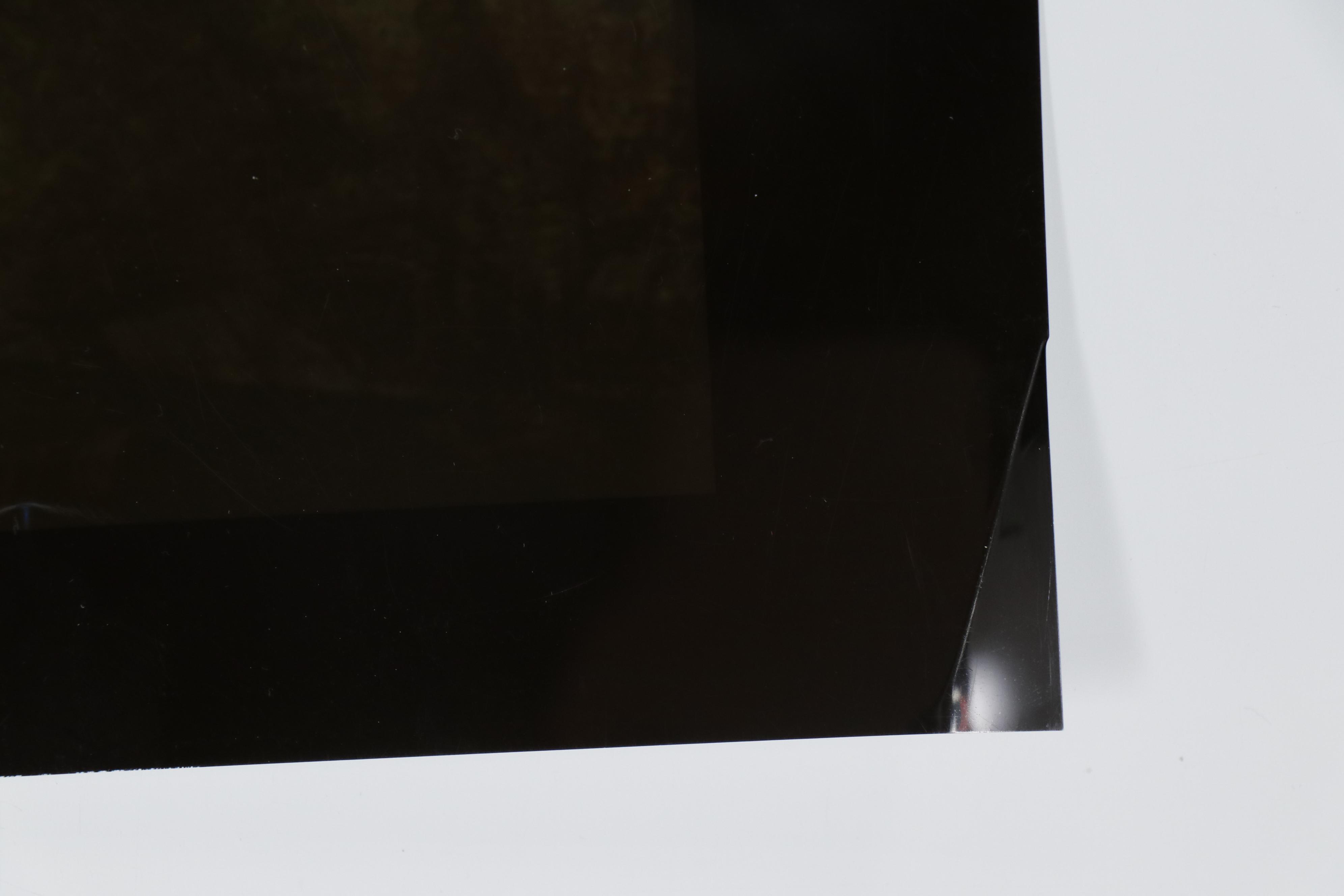 Barbara Hershey Abstract Figural Cliché Verre Photograph "The Fragility of Life"