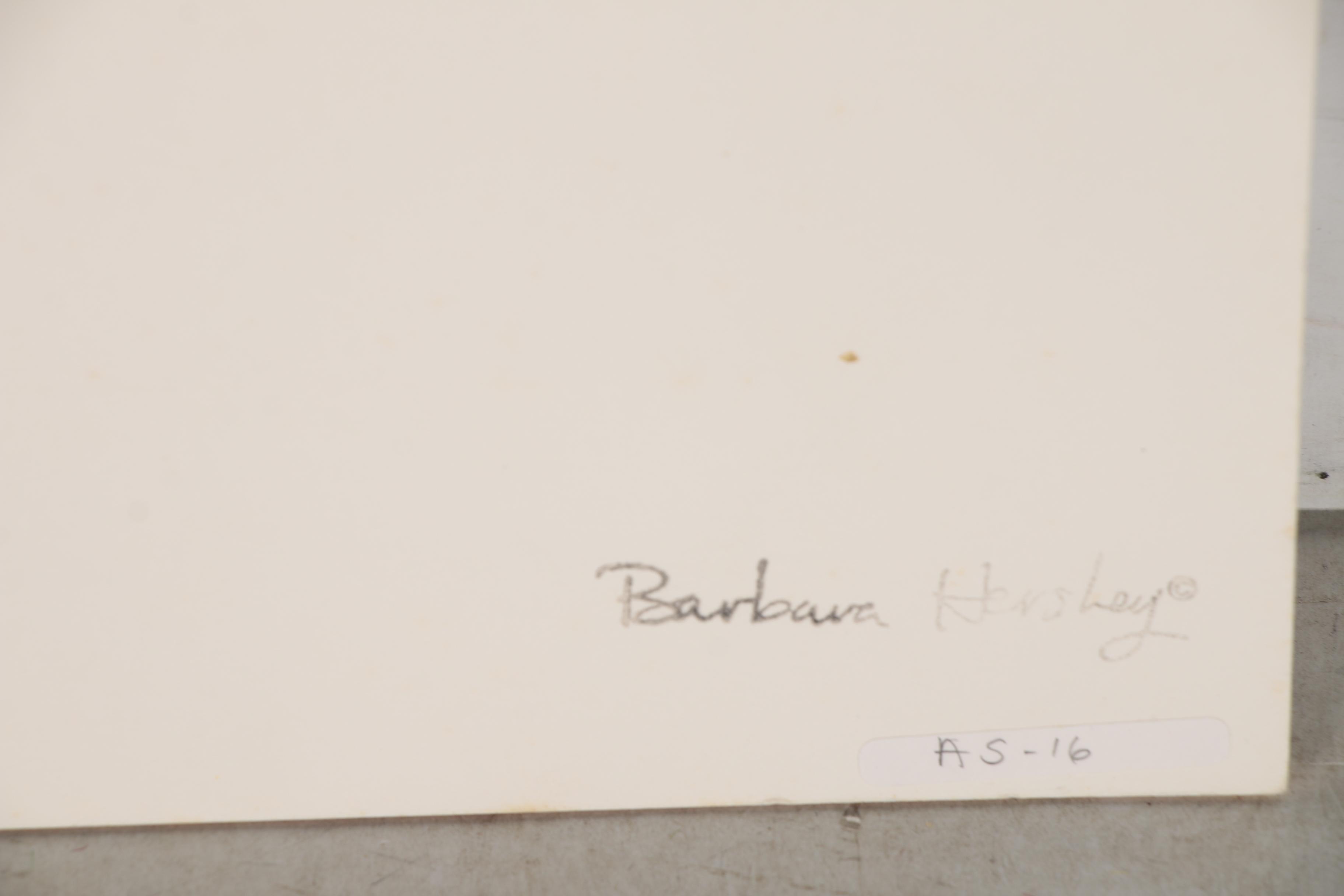 Barbara Hershey Portrait Cliché Verre Photograph "In Glowing Expectancy"