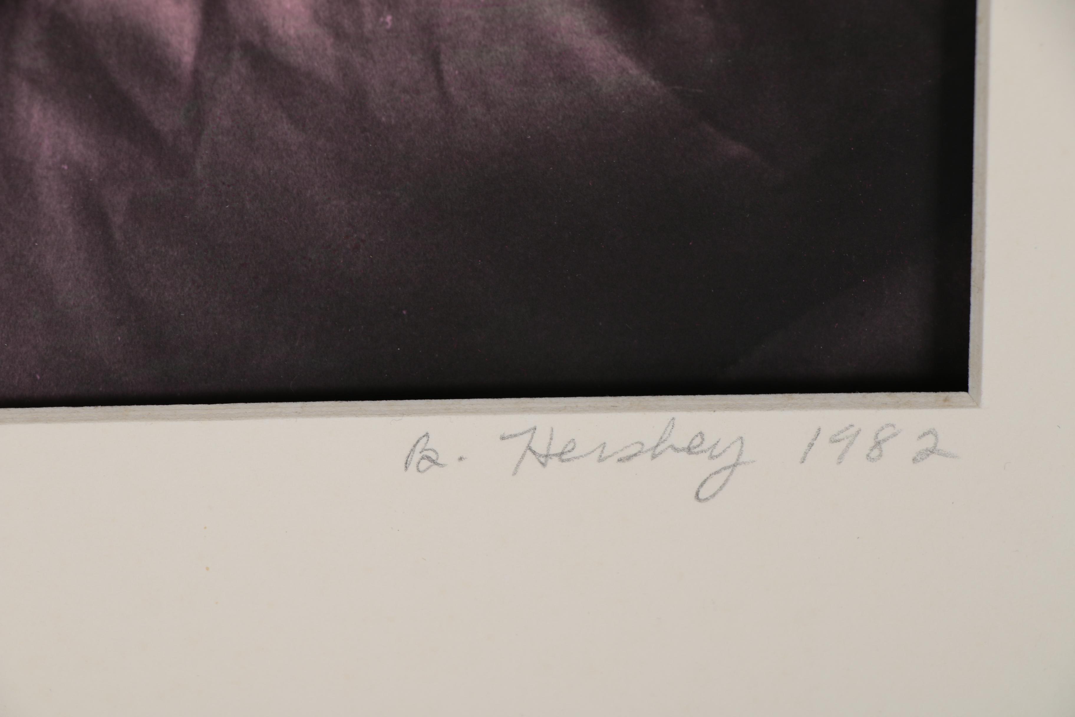 Barbara Hershey Figural Cliché Verre Photograph, 1982