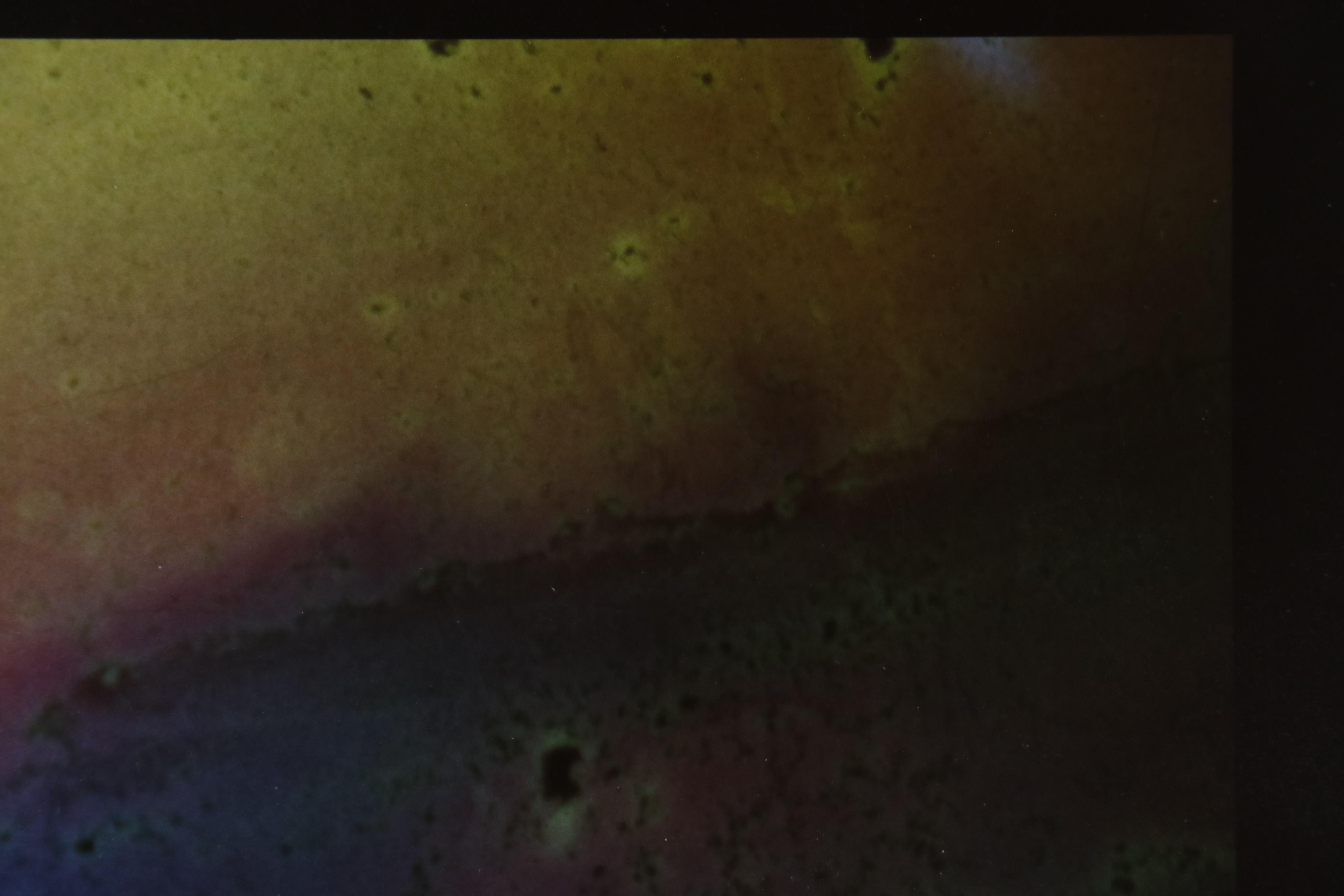 Barbara Hershey Surrealist Figural Cliché Verre Photograph, 1983