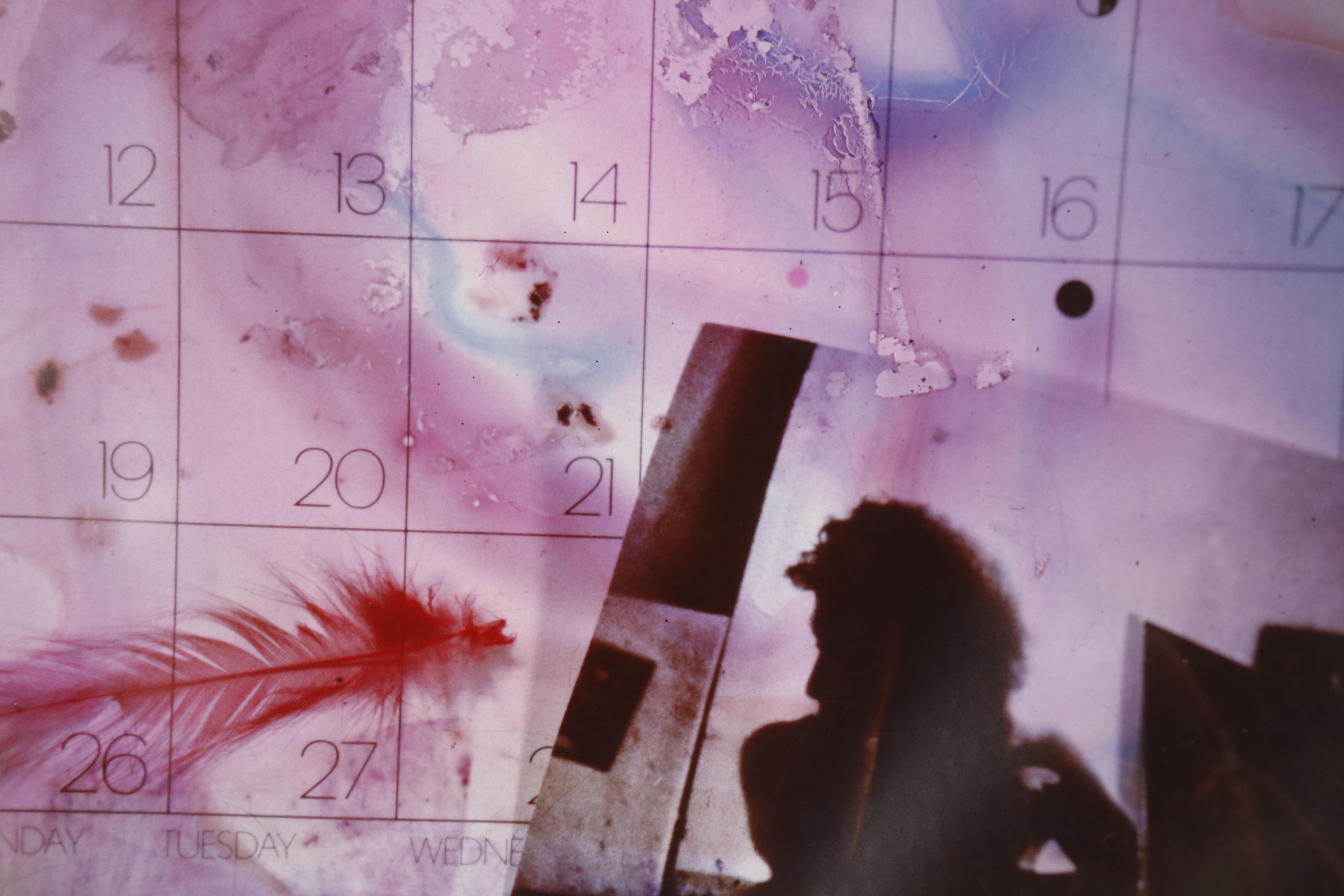 Barbara Hershey Surrealist Cibachrome Photograph