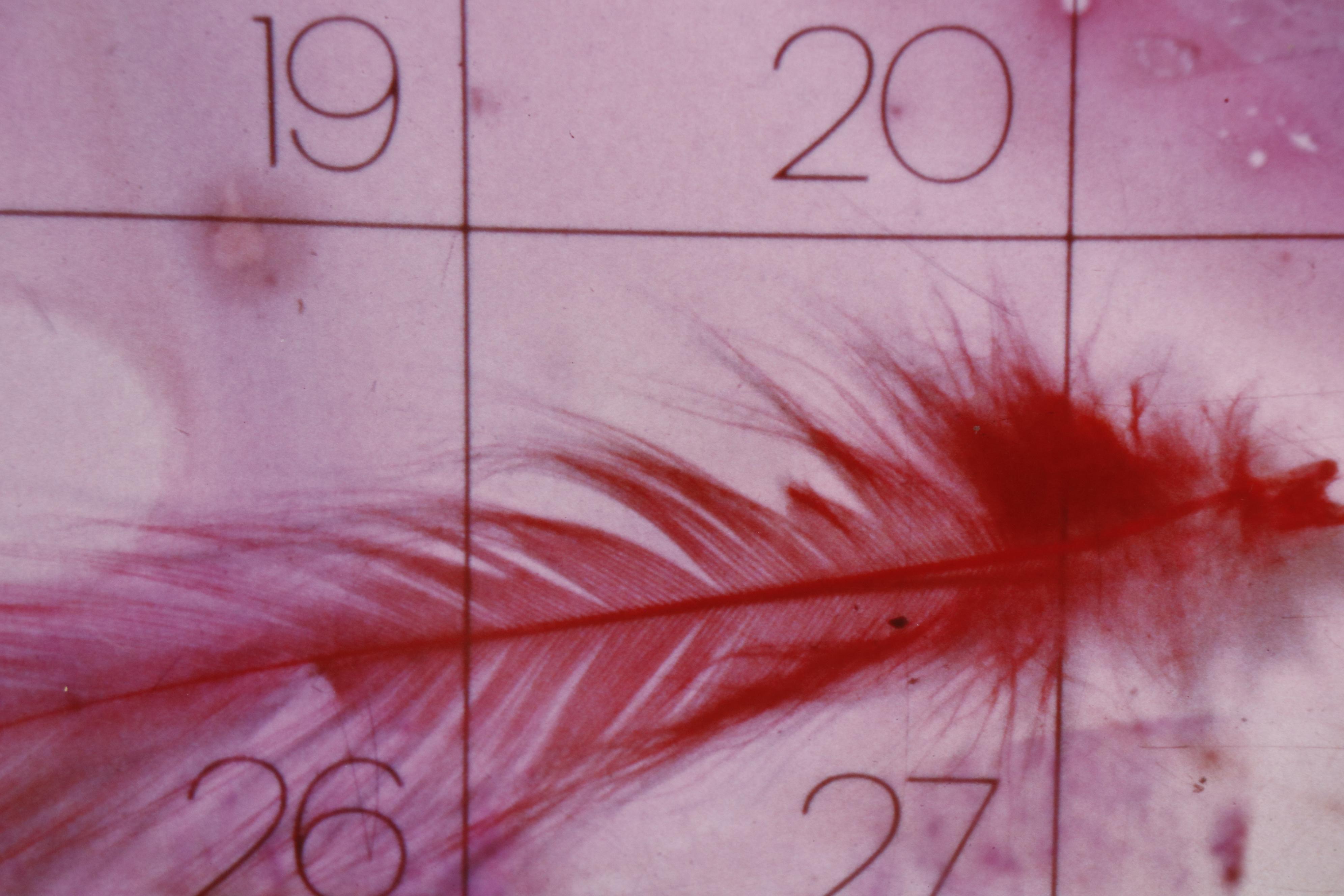 Barbara Hershey Surrealist Cibachrome Photograph