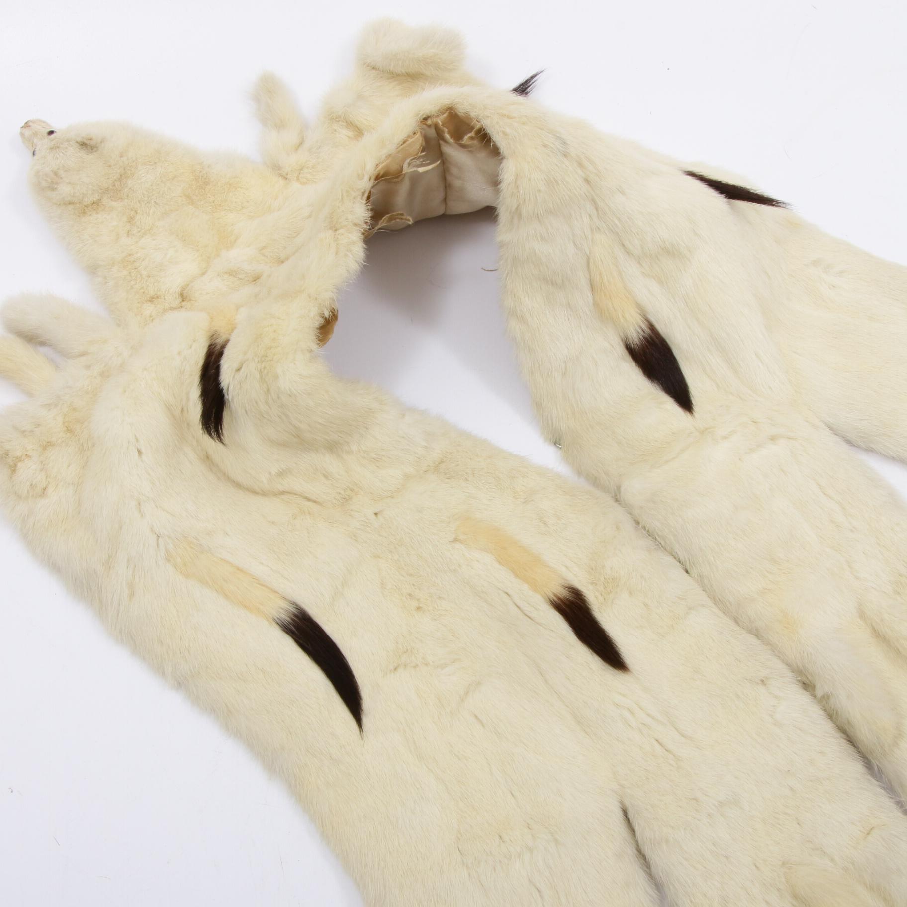 Ermine Fur Stole, Shawl, and Collar, Vintage