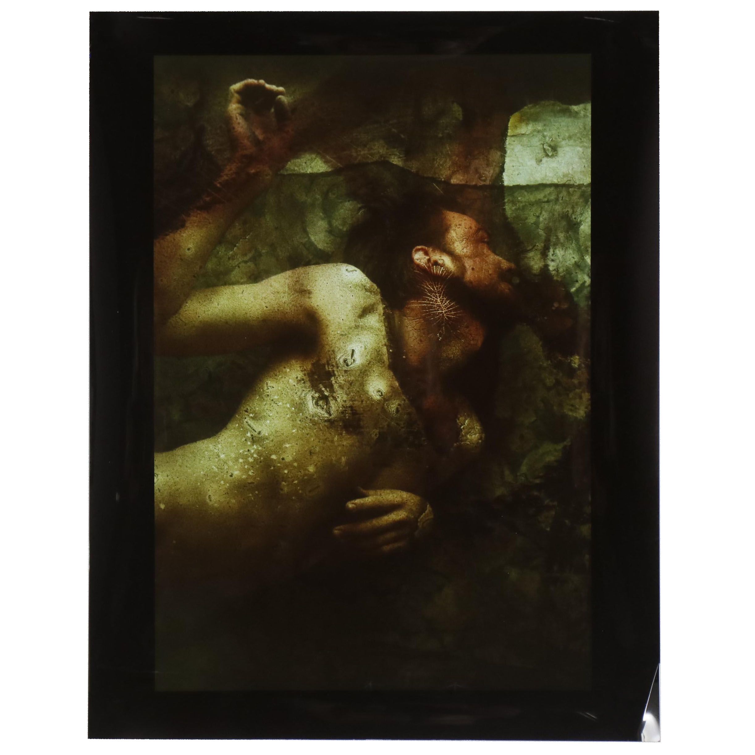 Barbara Hershey Abstract Figural Cliché Verre Photograph "The Fragility of Life"