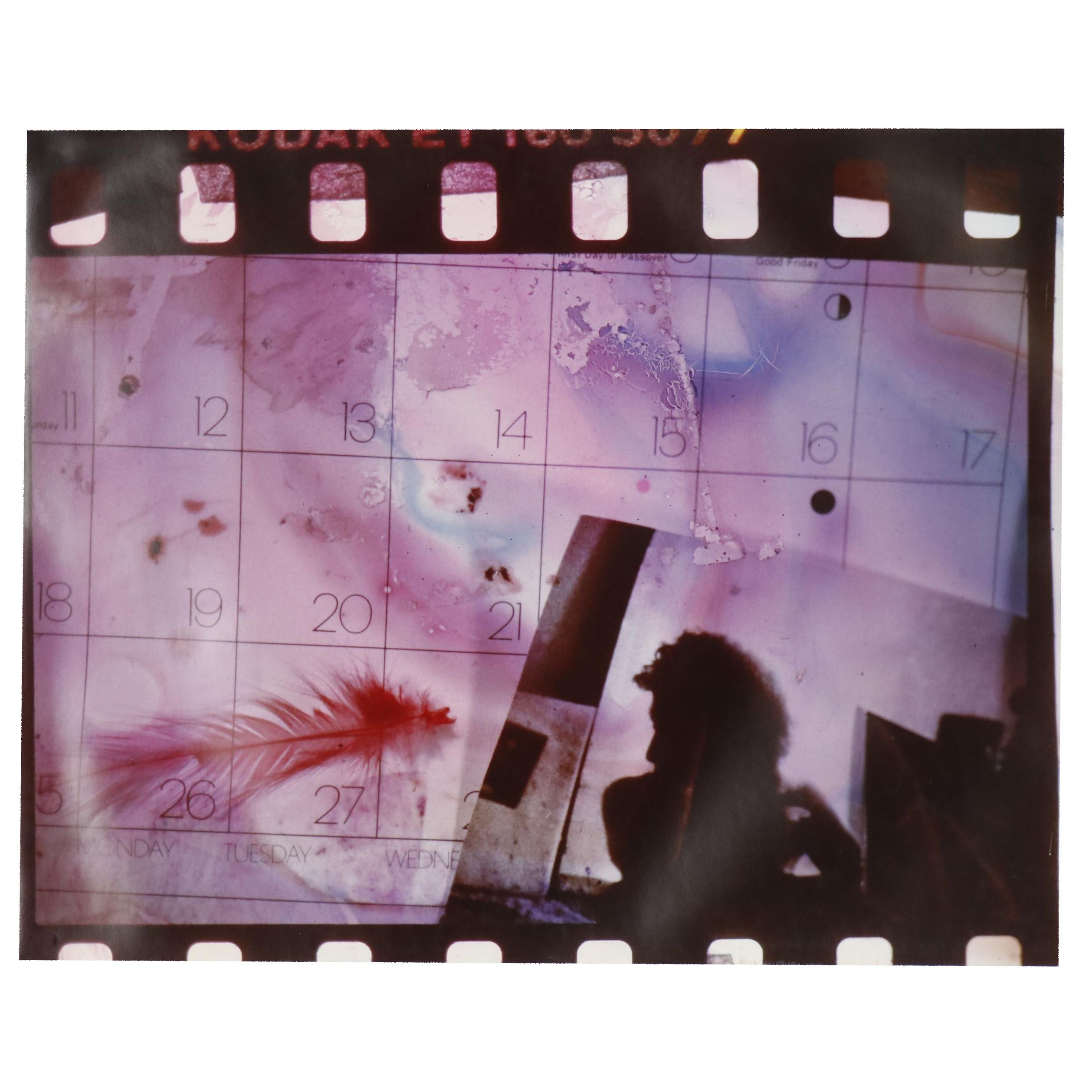 Barbara Hershey Surrealist Cibachrome Photograph