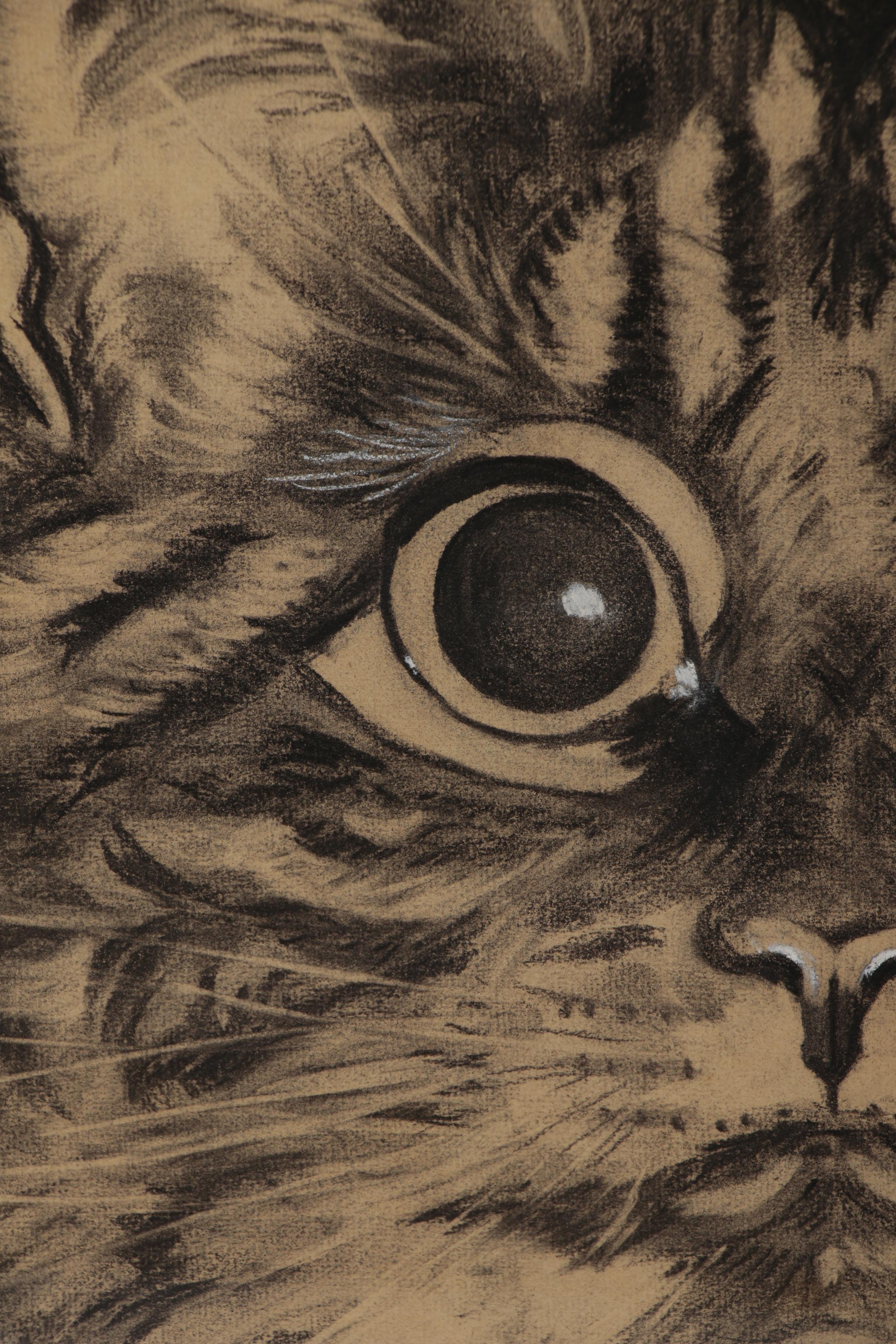 Charcoal Portrait Drawing of Cat, Mid 20th Century