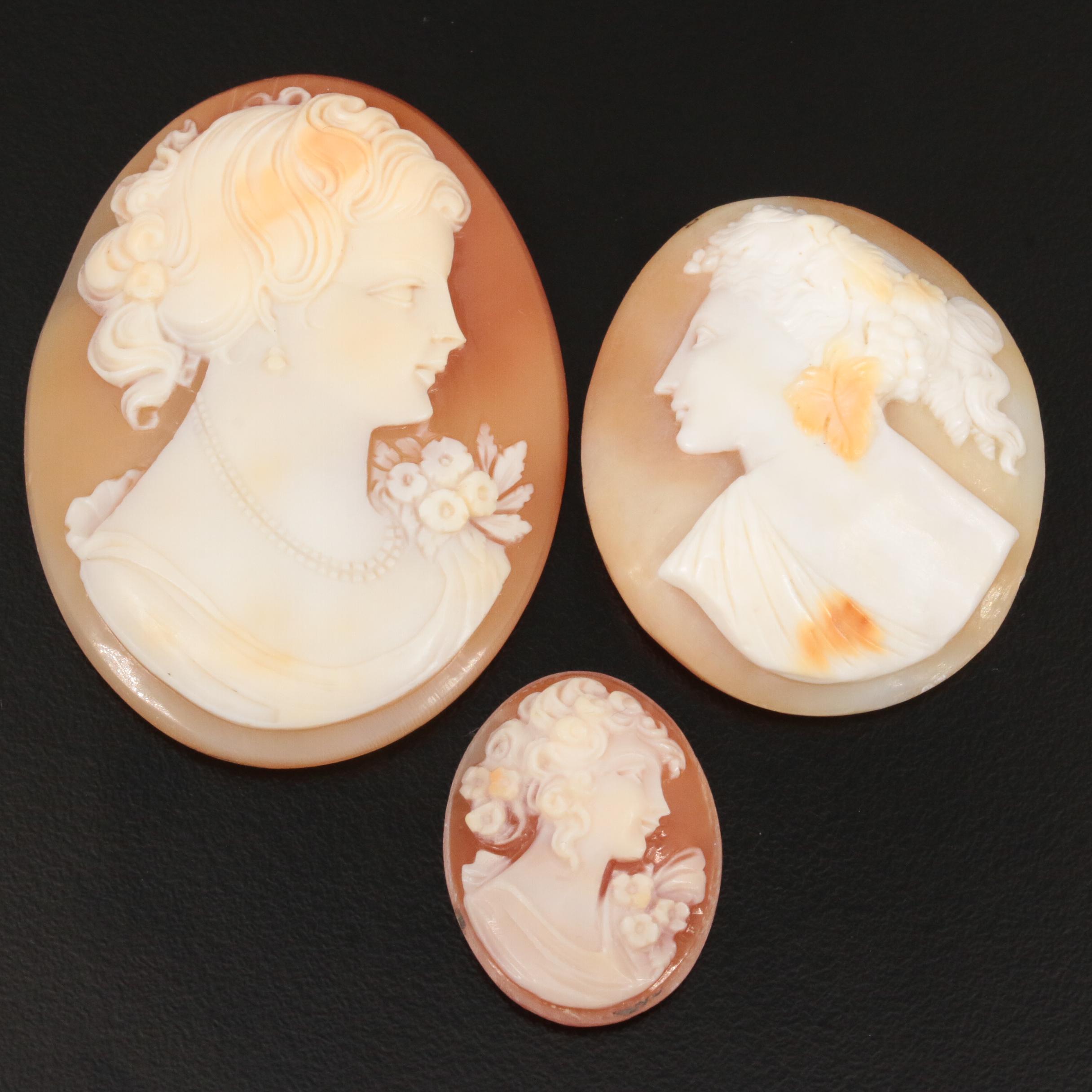 Loose Carved Helmet Shell Cameos