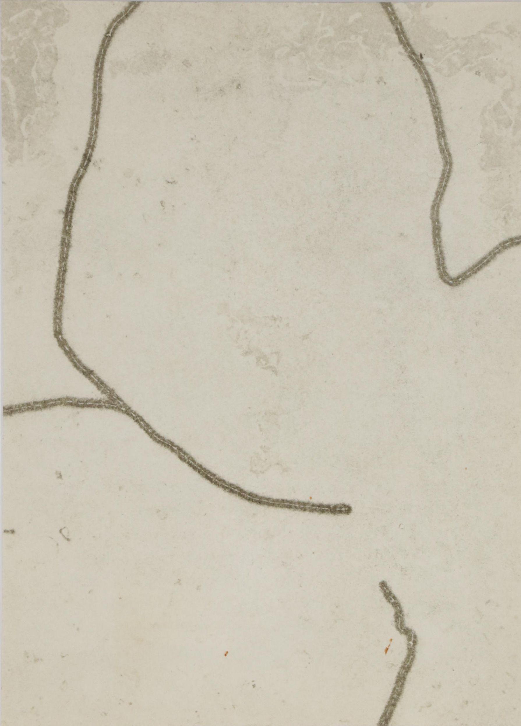 François Fiedler Abstract Lithograph for "Derrière le Miroir"