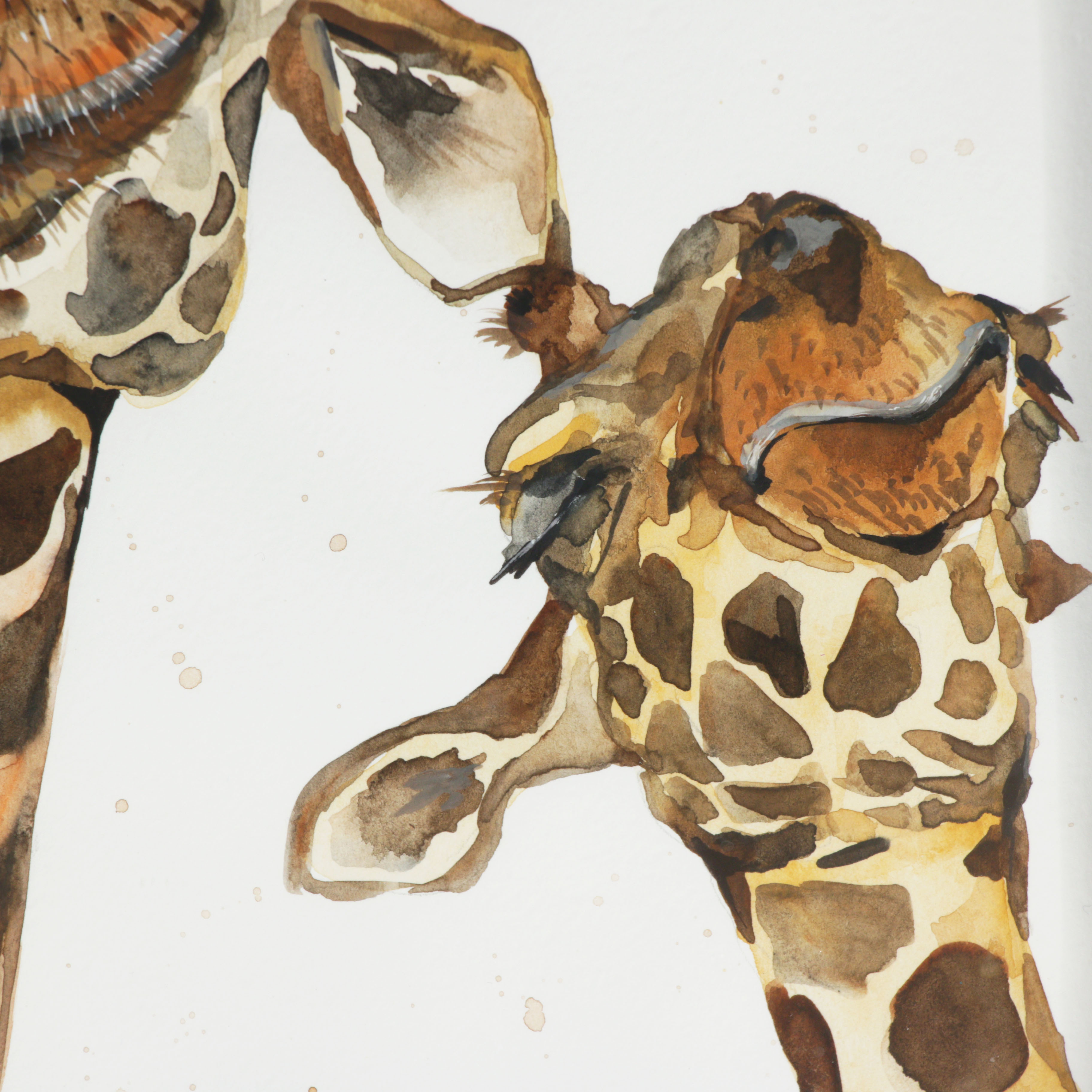 Watercolor Painting of Giraffes