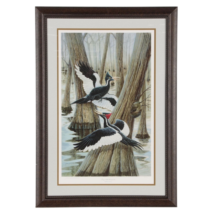 John Ruthven Offset Lithograph "Ivory-billed Woodpecker"