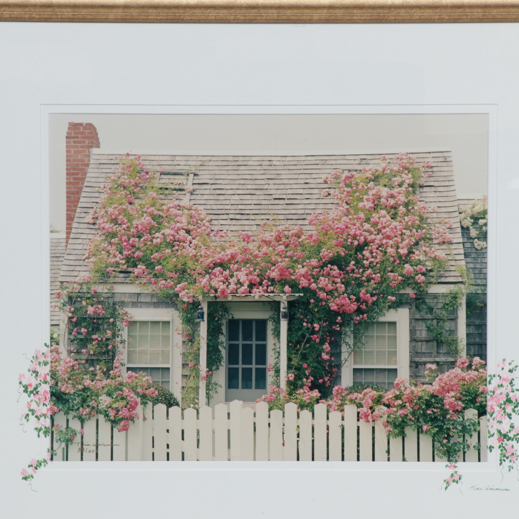 Tina Waisman Cottage Garden Photograph
