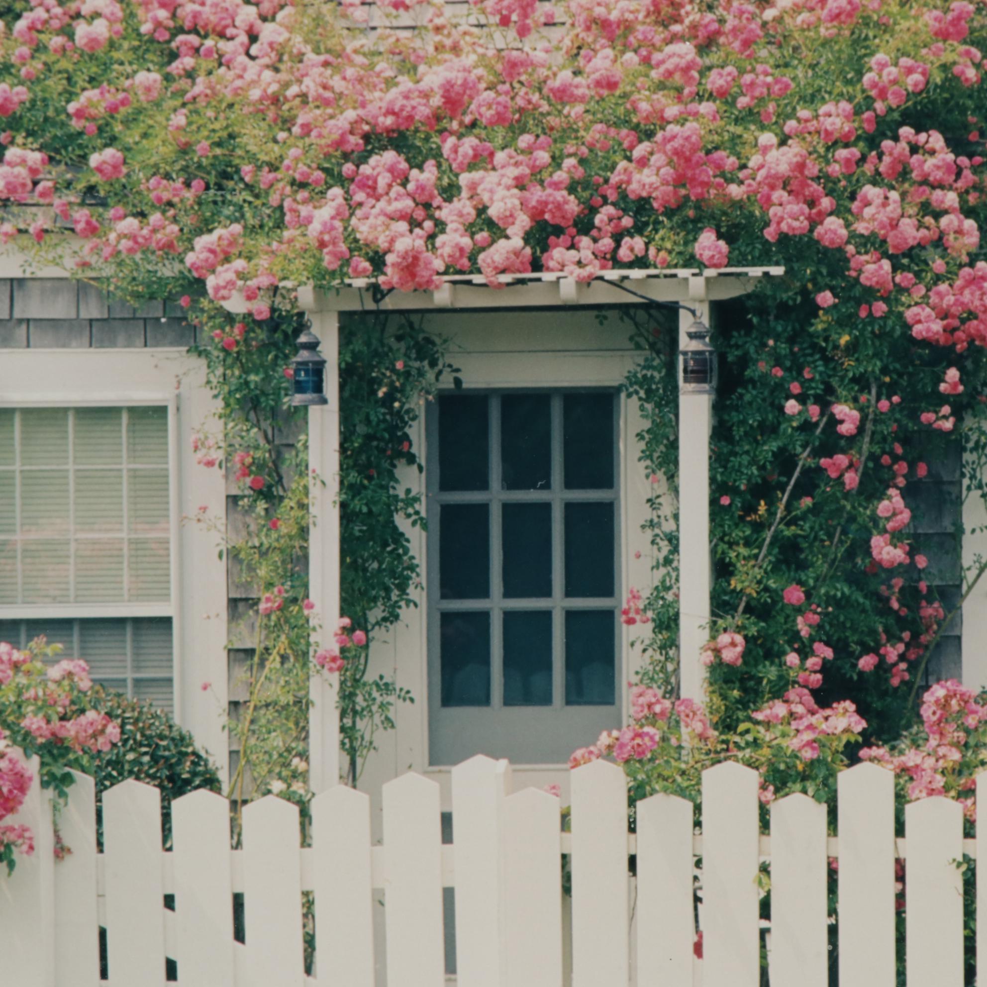 Tina Waisman Cottage Garden Photograph