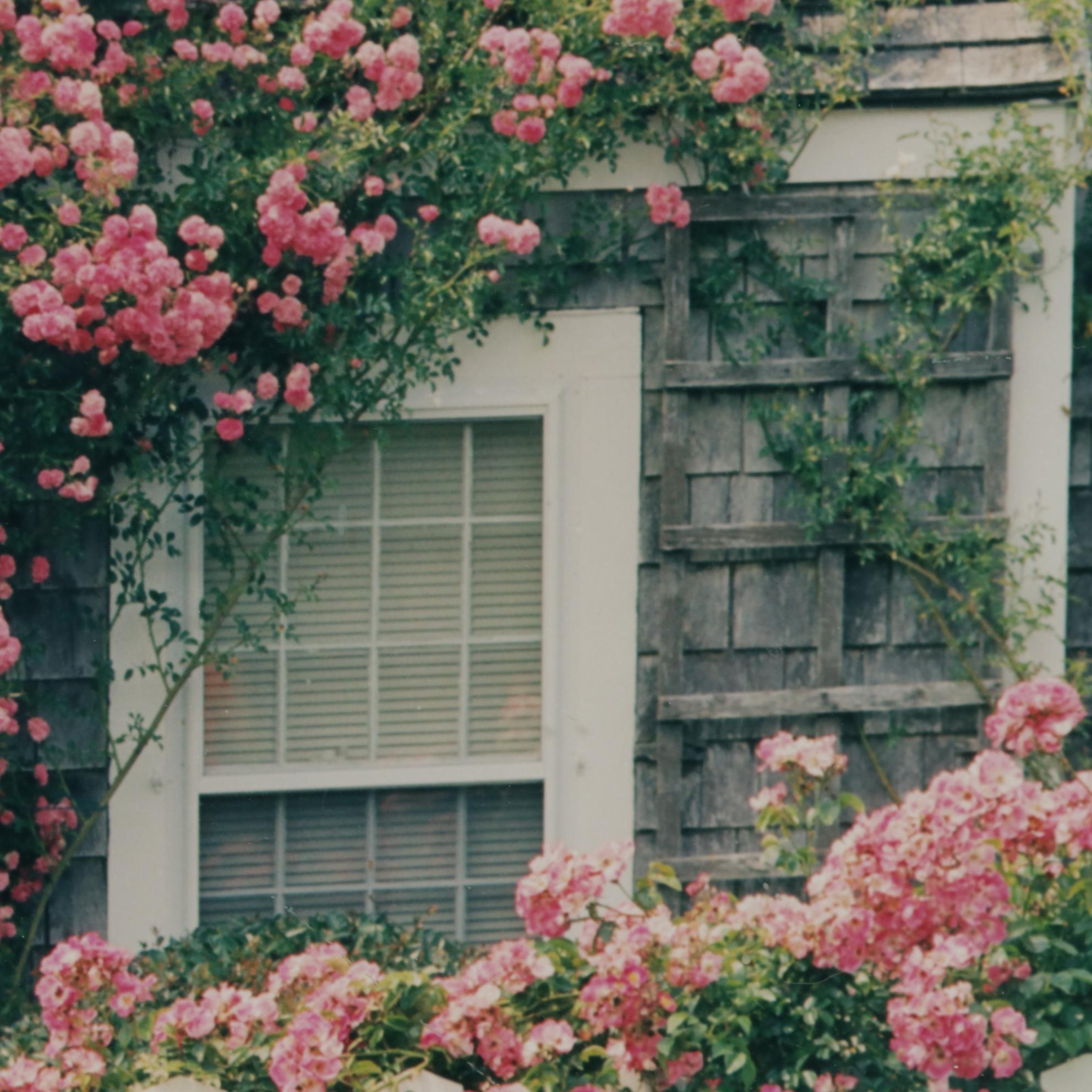 Tina Waisman Cottage Garden Photograph
