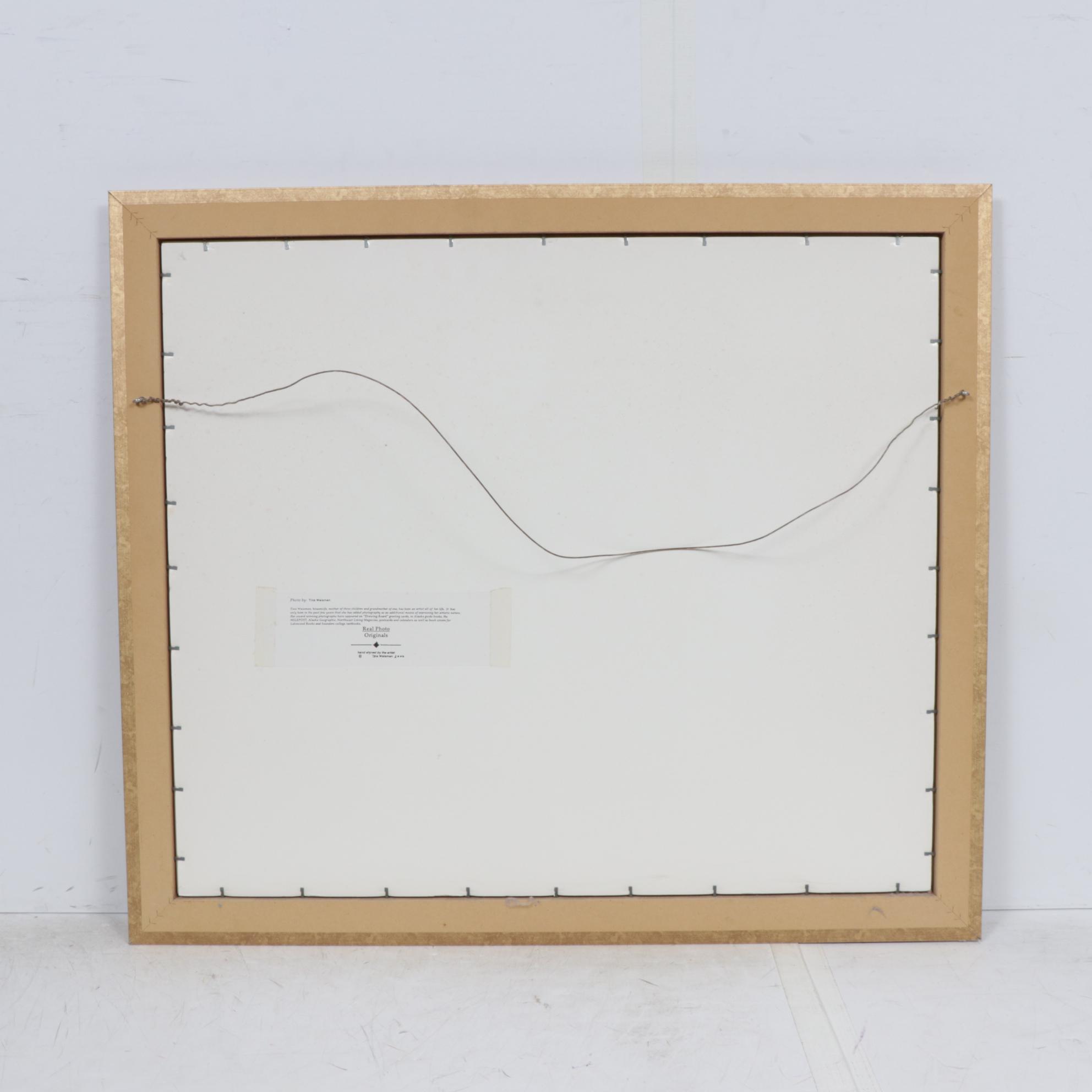 Tina Waisman Cottage Garden Photograph