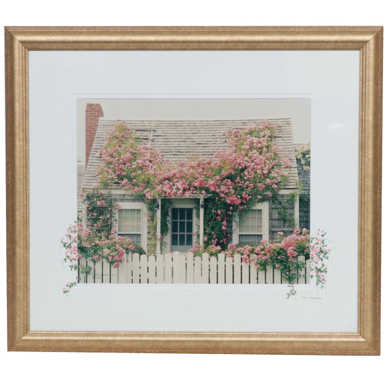 Tina Waisman Cottage Garden Photograph