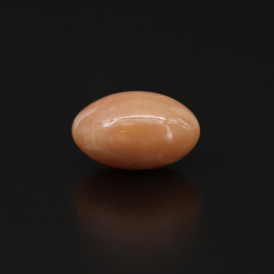 Loose 1.10 CT Oval Conch Pearl