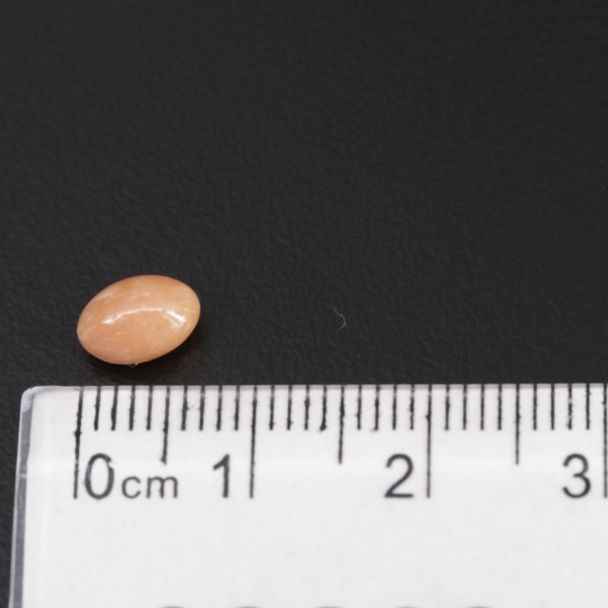 Loose 1.10 CT Oval Conch Pearl