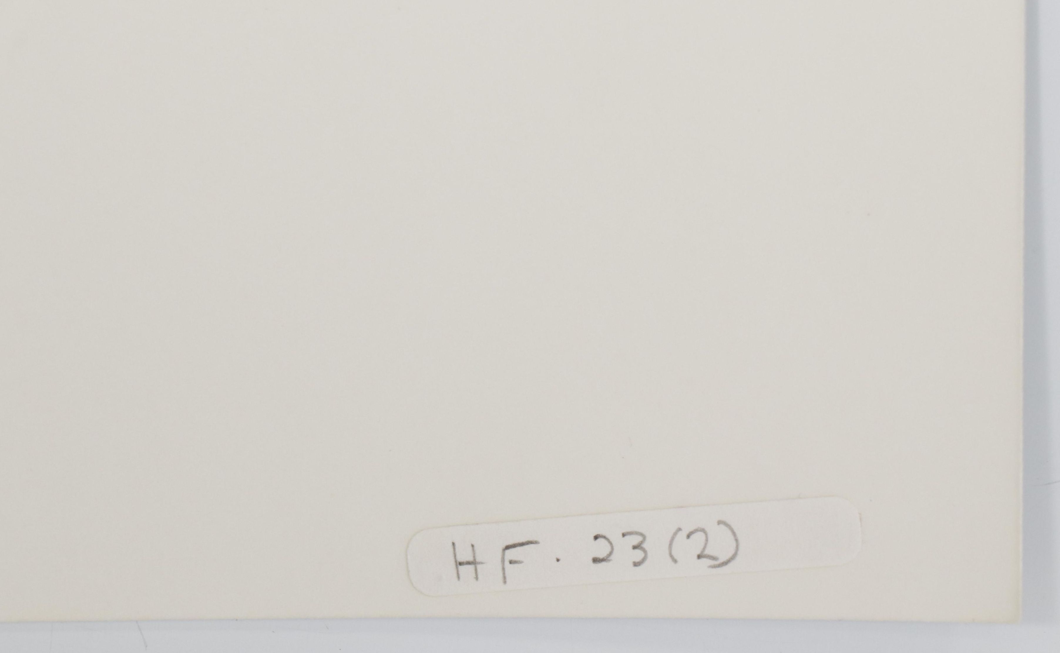 Barbara Hershey Cliché Verre Photograph, 1983