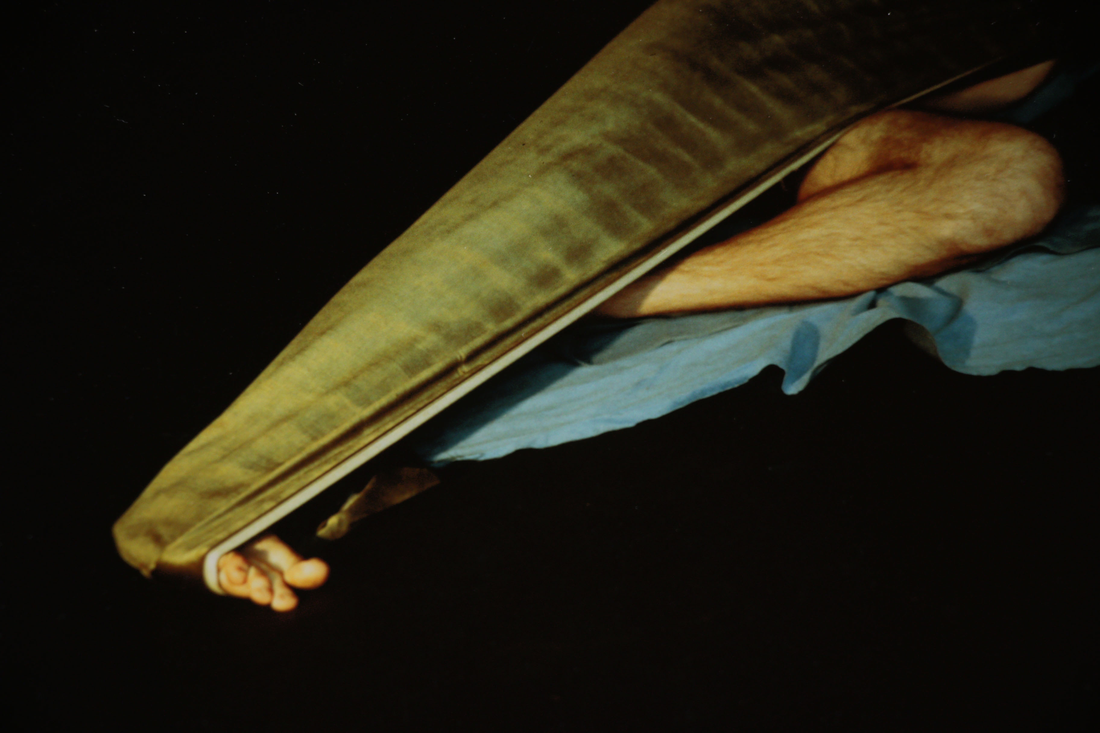 Barbara Hershey Cliché Verre Photograph, 1983