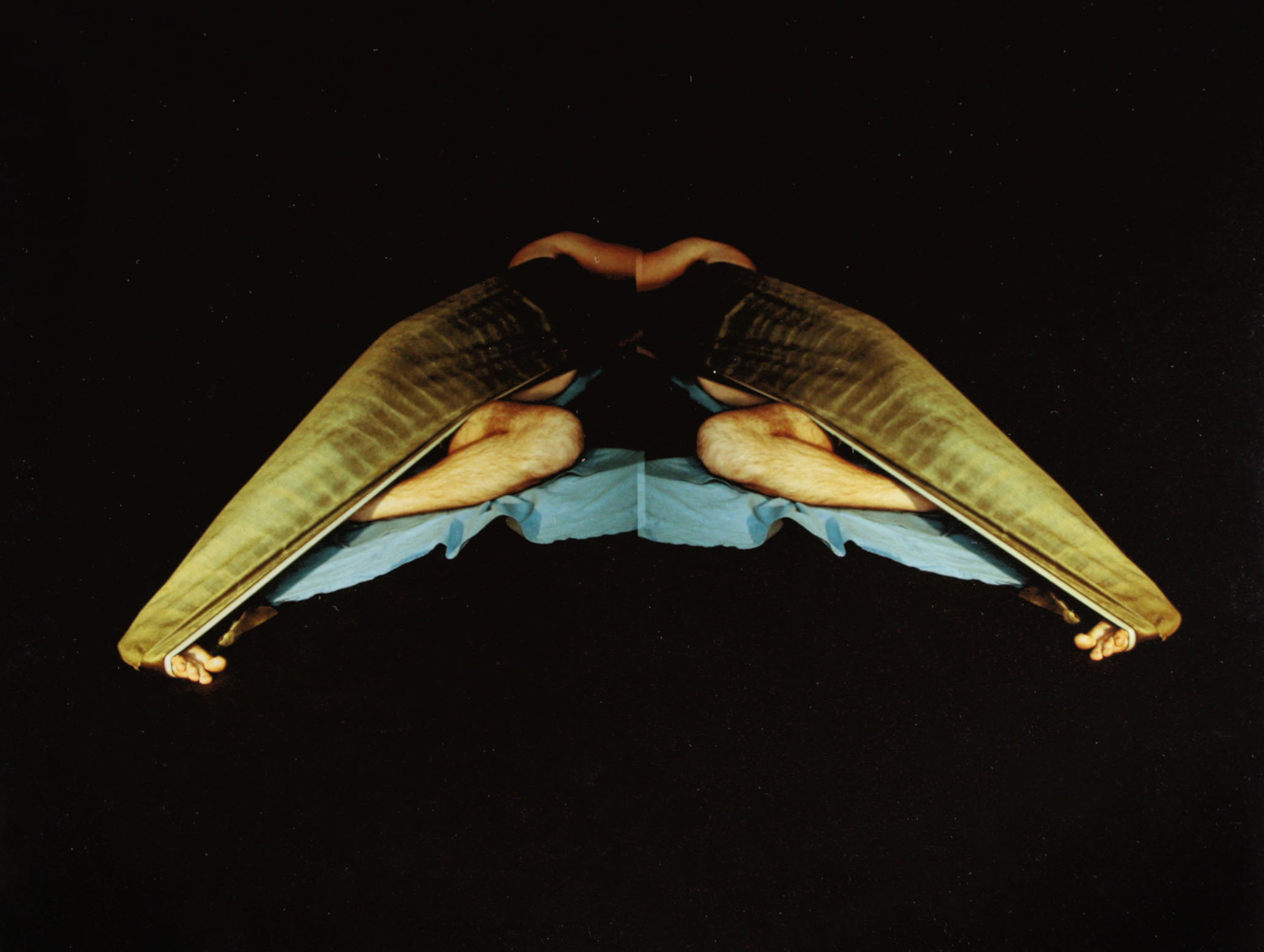 Barbara Hershey Cliché Verre Photograph, 1983