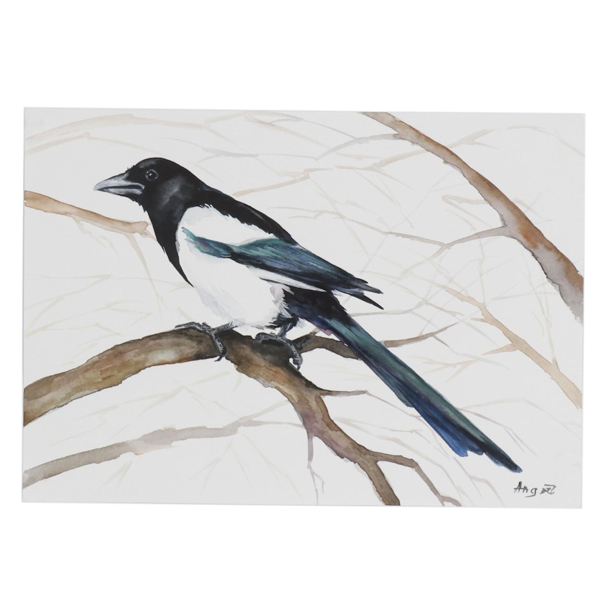 Anne Gorywine Watercolor Painting of Magpie Bird on Tree Branch