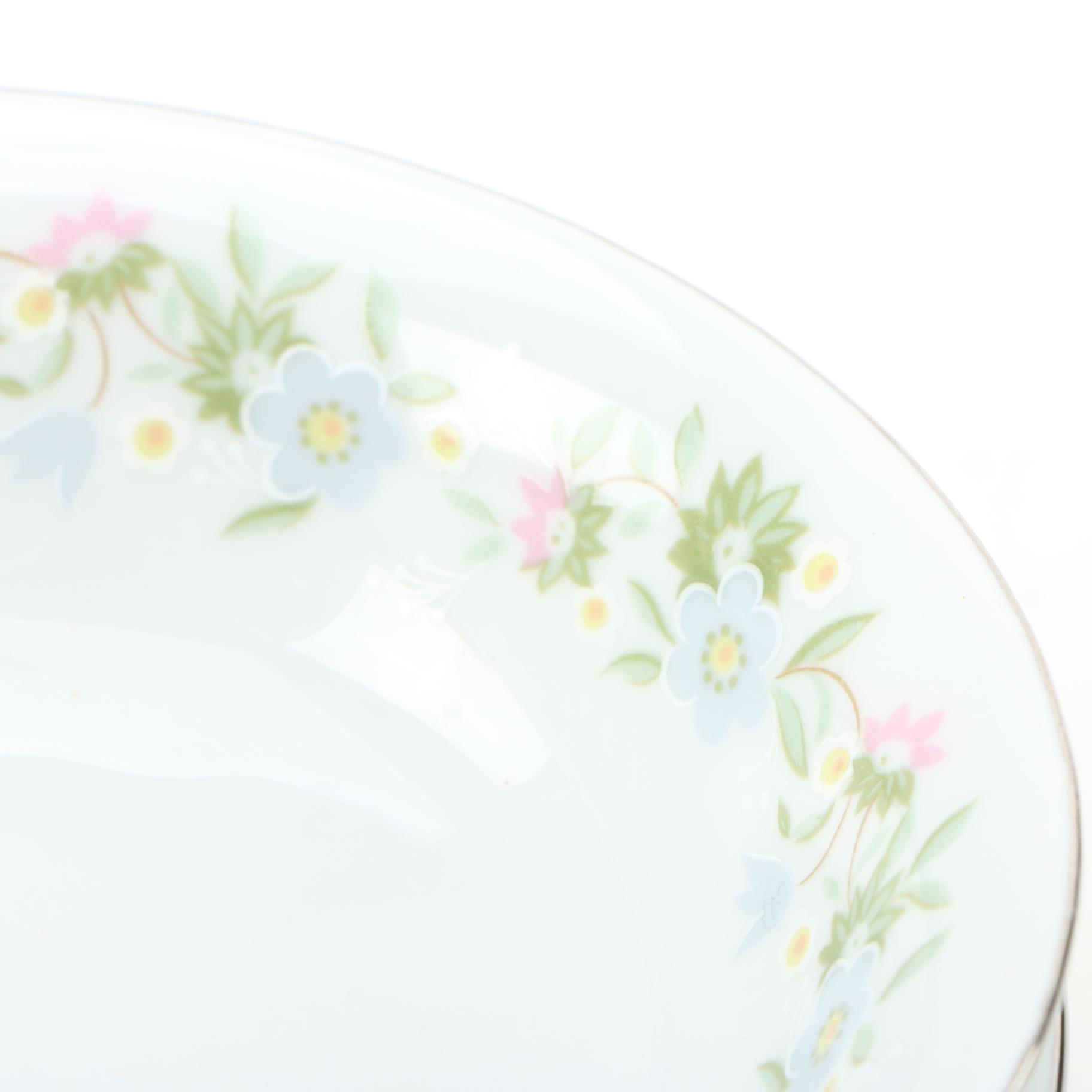 Hobbyist Painted Porcelain Tableware, Antique and Vintage