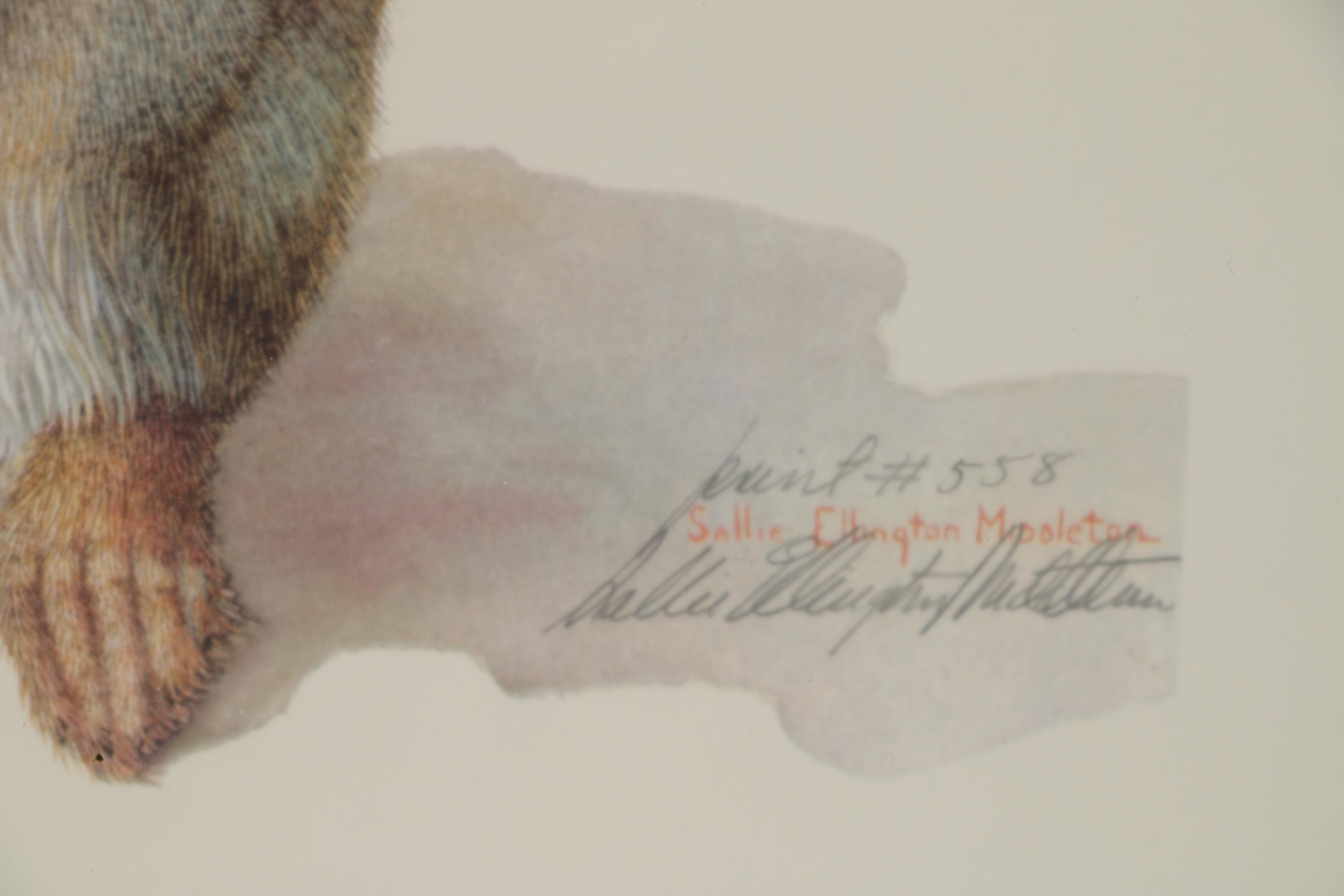 Sallie Ellington Middleton Offset Lithograph "Eastern Cottontail", 1972