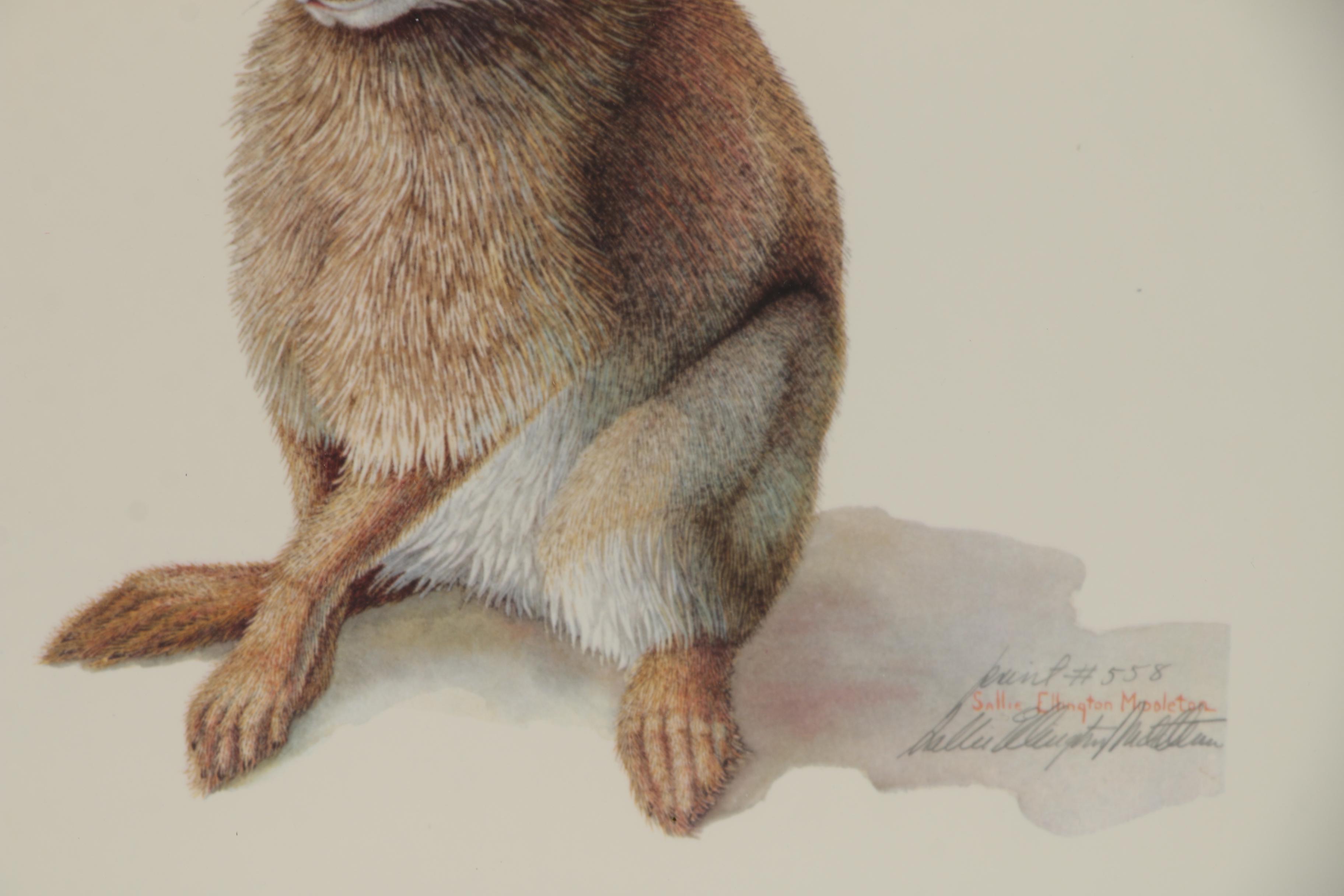 Sallie Ellington Middleton Offset Lithograph "Eastern Cottontail", 1972