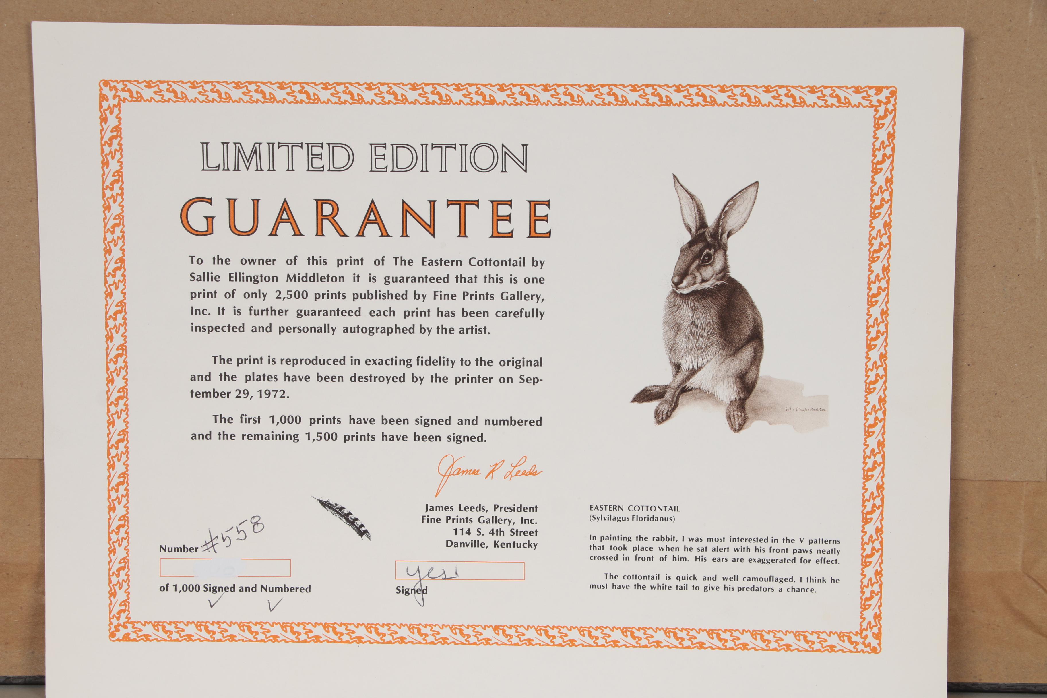 Sallie Ellington Middleton Offset Lithograph "Eastern Cottontail", 1972