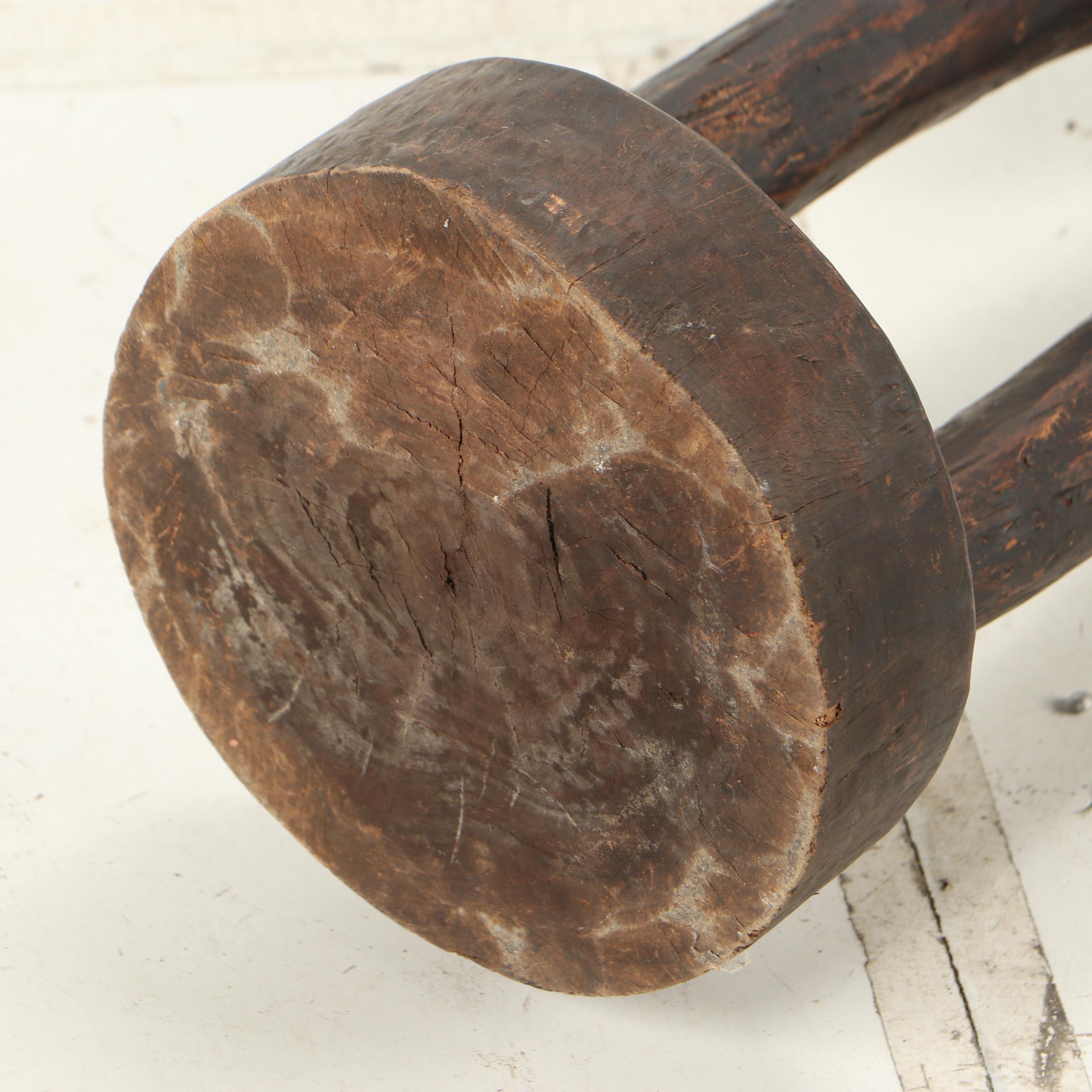 Senufo Style Bird (Sejen) Wooden Sculpture