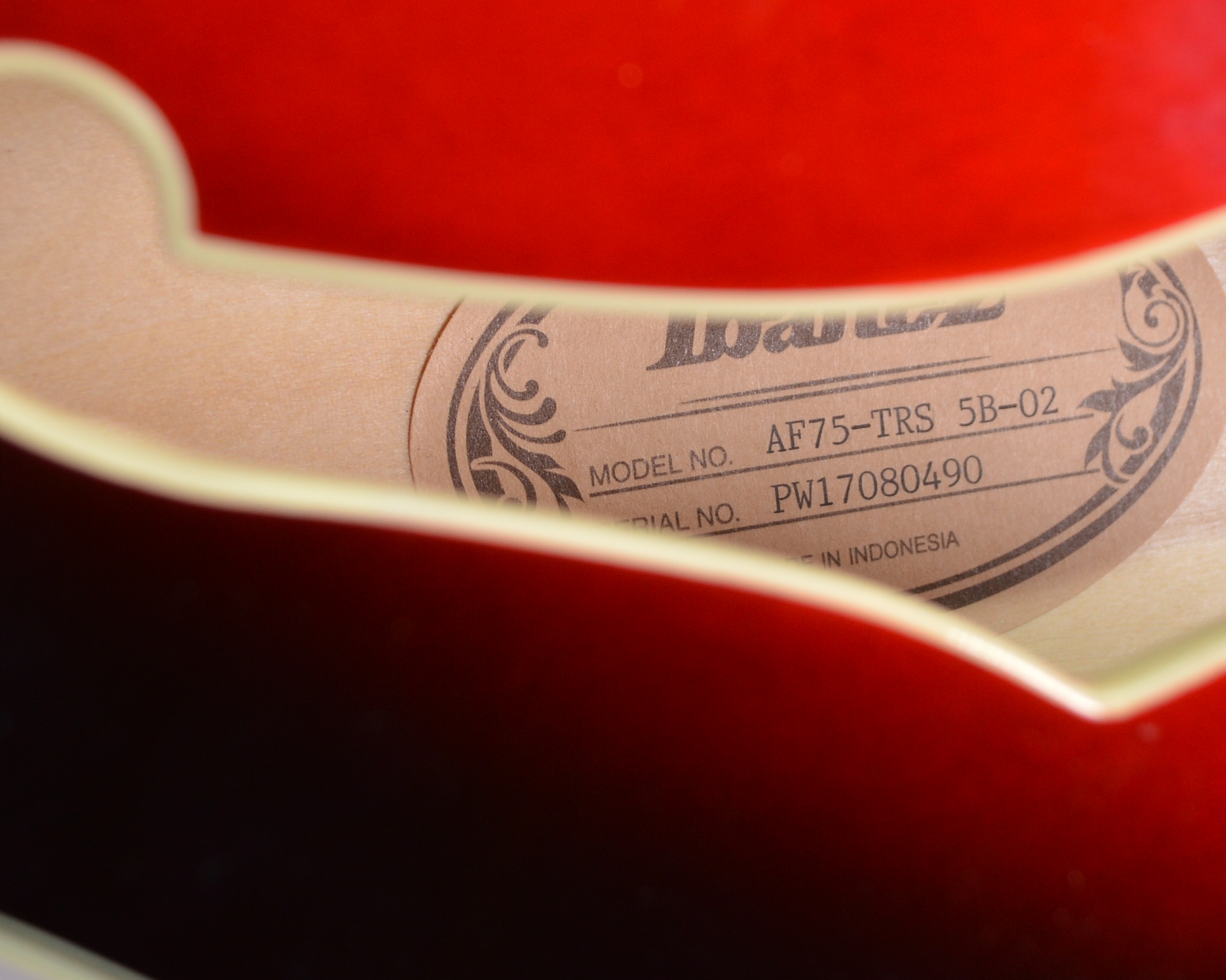 Ibanez Artcore AF75 Hollowbody Electric Guitar