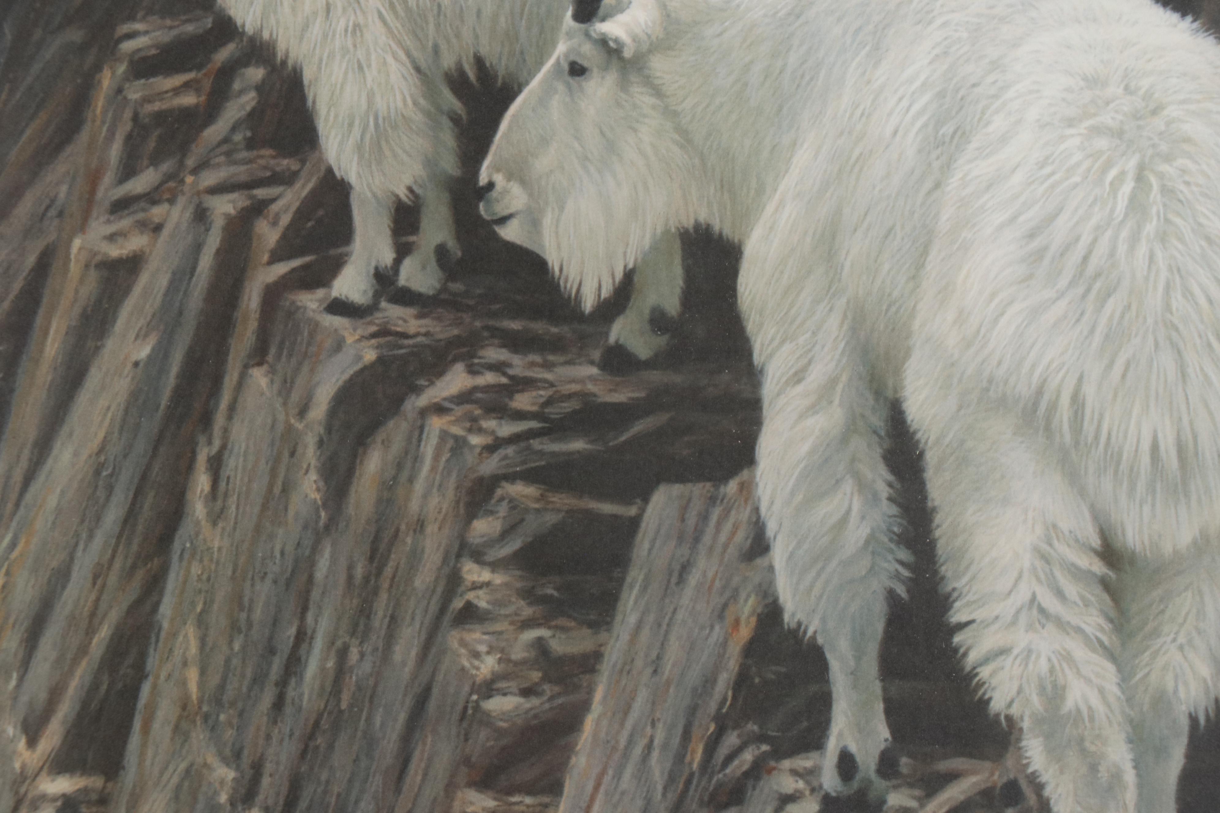 Robert Bateman Offset Lithograph "Sheer Drop - Mountain Goats"