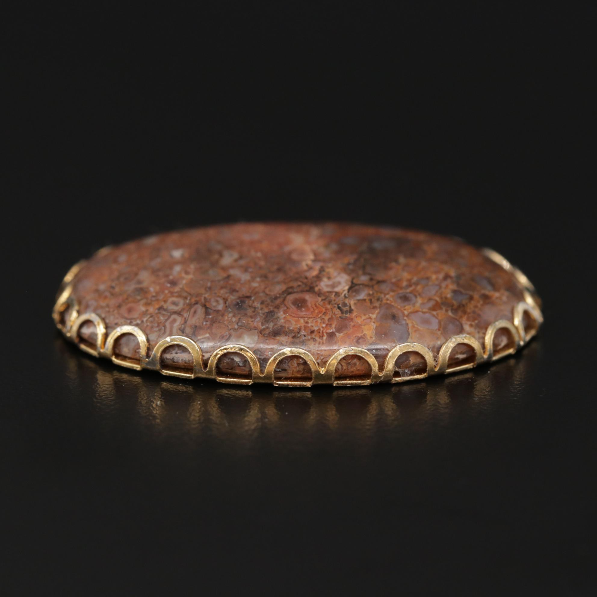 Framed Oval Petrified Wood and Fossilized Bone Cabochon Mineral Specimens