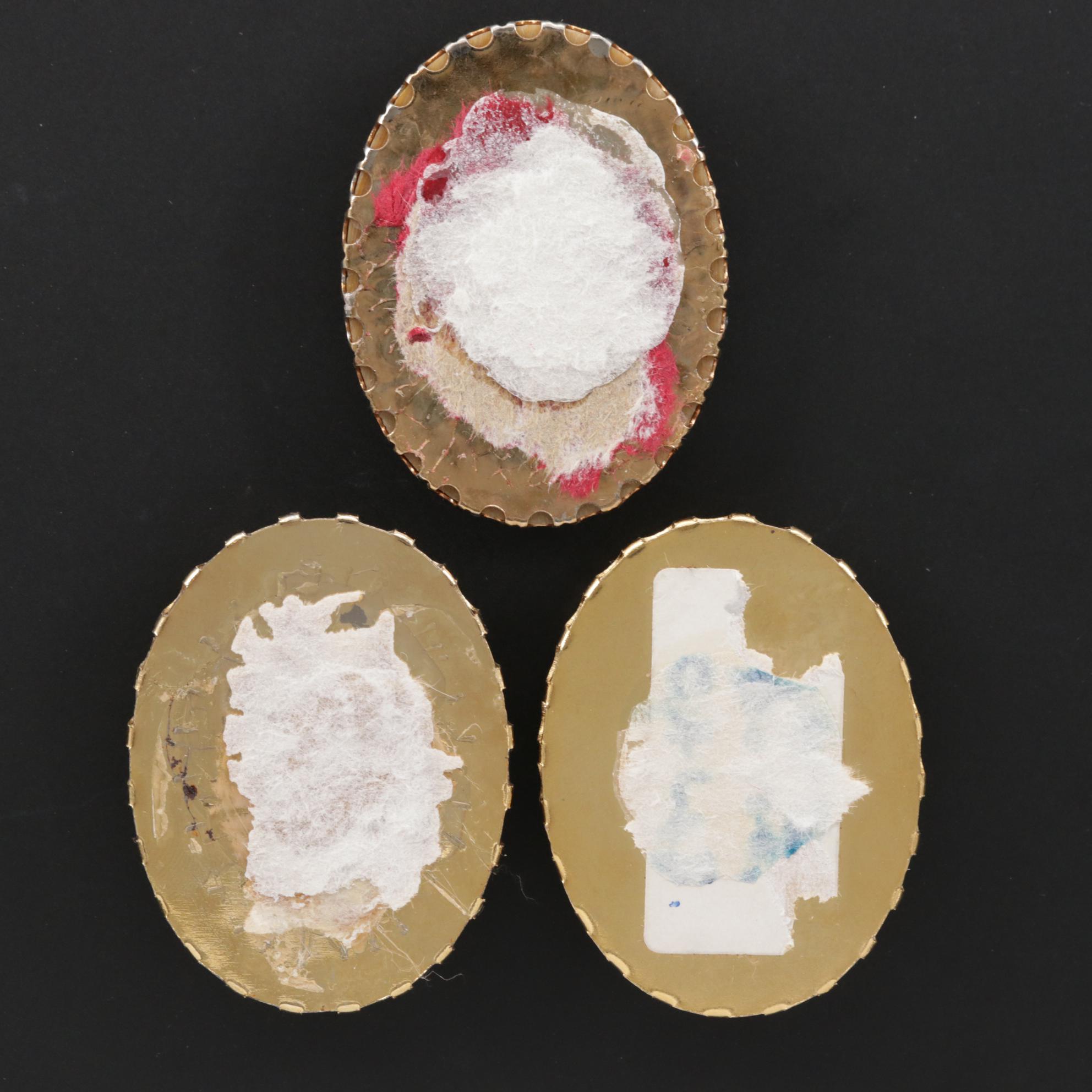 Framed Oval Petrified Wood and Fossilized Bone Cabochon Mineral Specimens