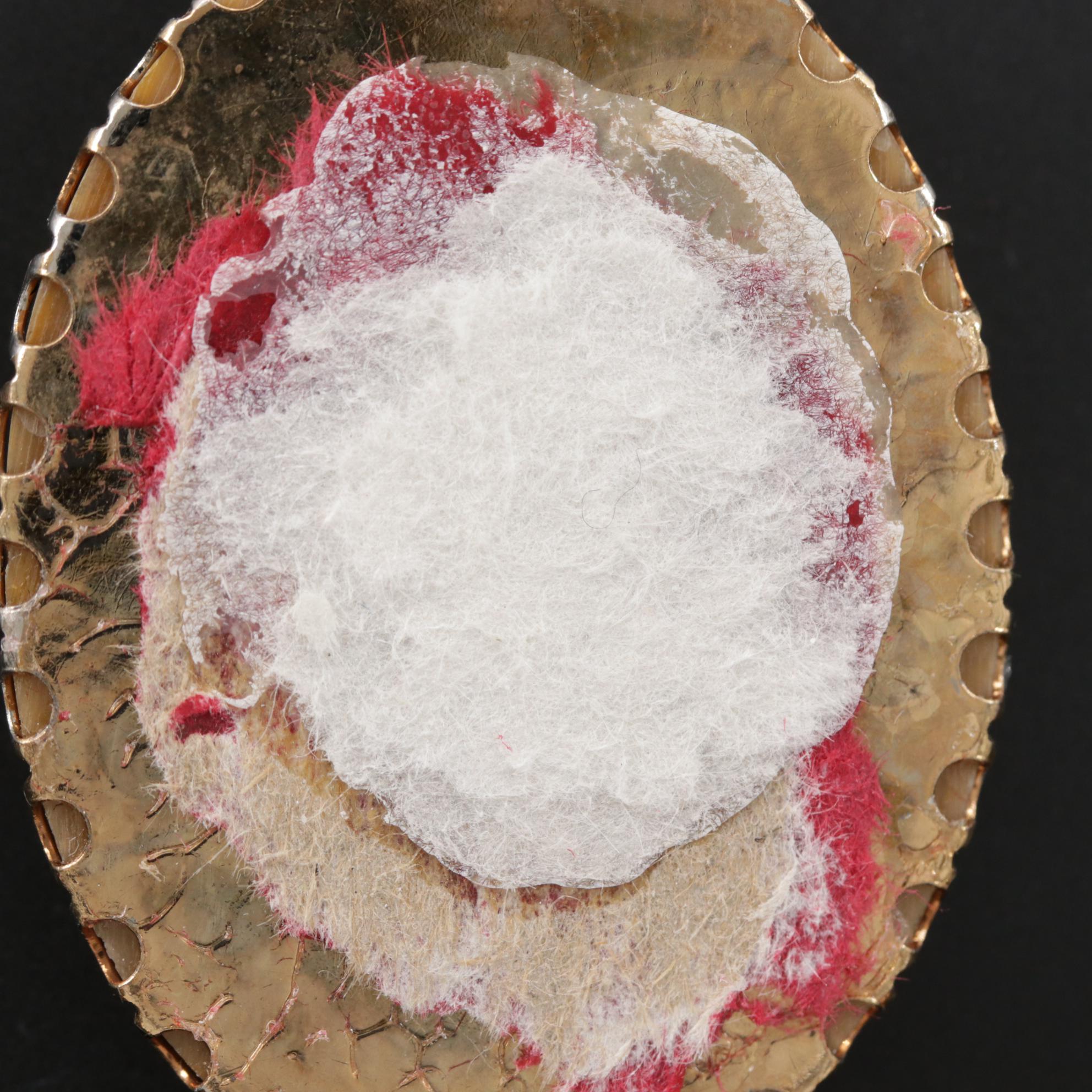 Framed Oval Petrified Wood and Fossilized Bone Cabochon Mineral Specimens