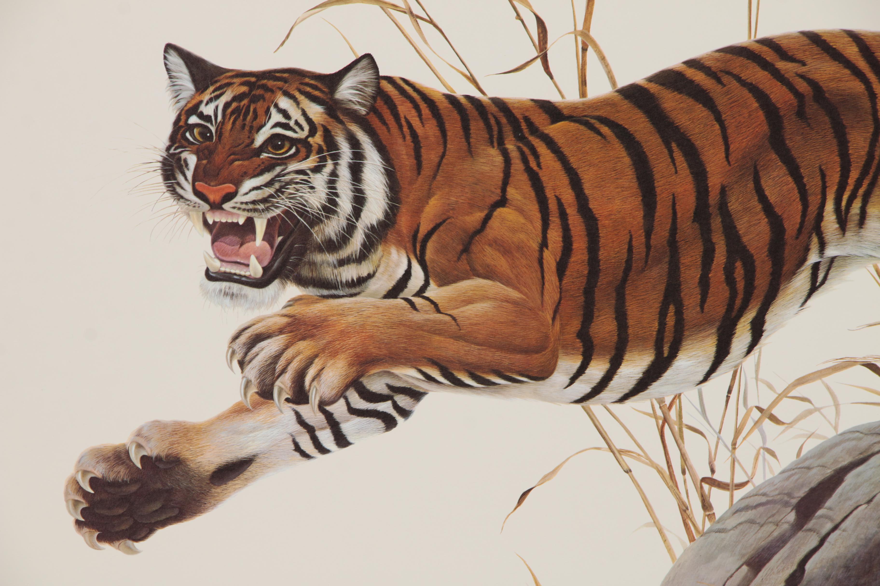 John Ruthven Offset Lithograph "Bengal Tiger"
