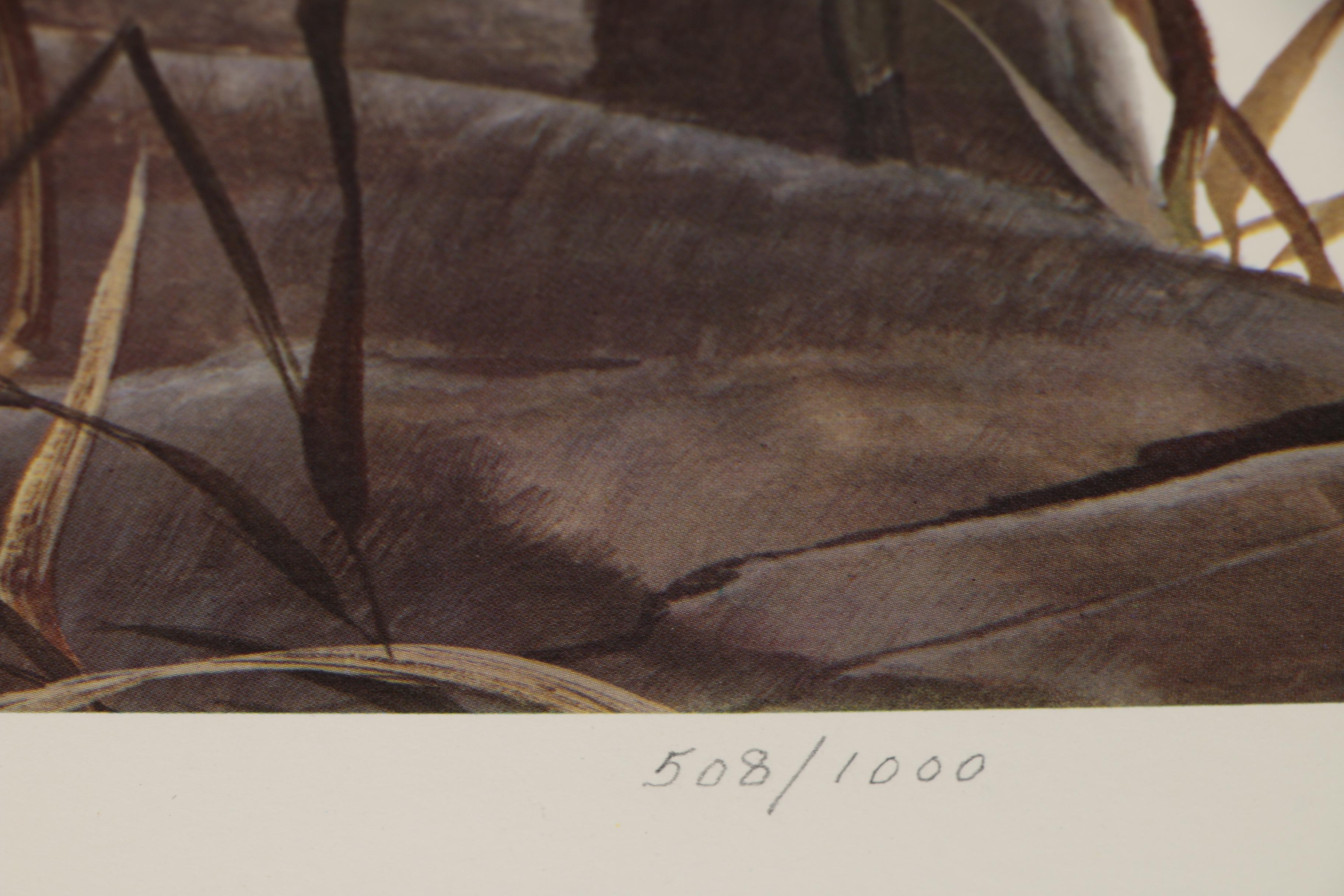 John Ruthven Offset Lithograph "Bengal Tiger"