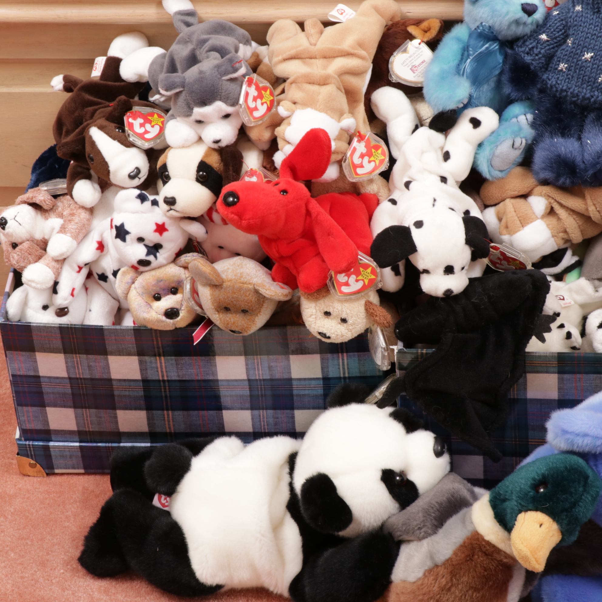 Ty Beanie Babies Collection