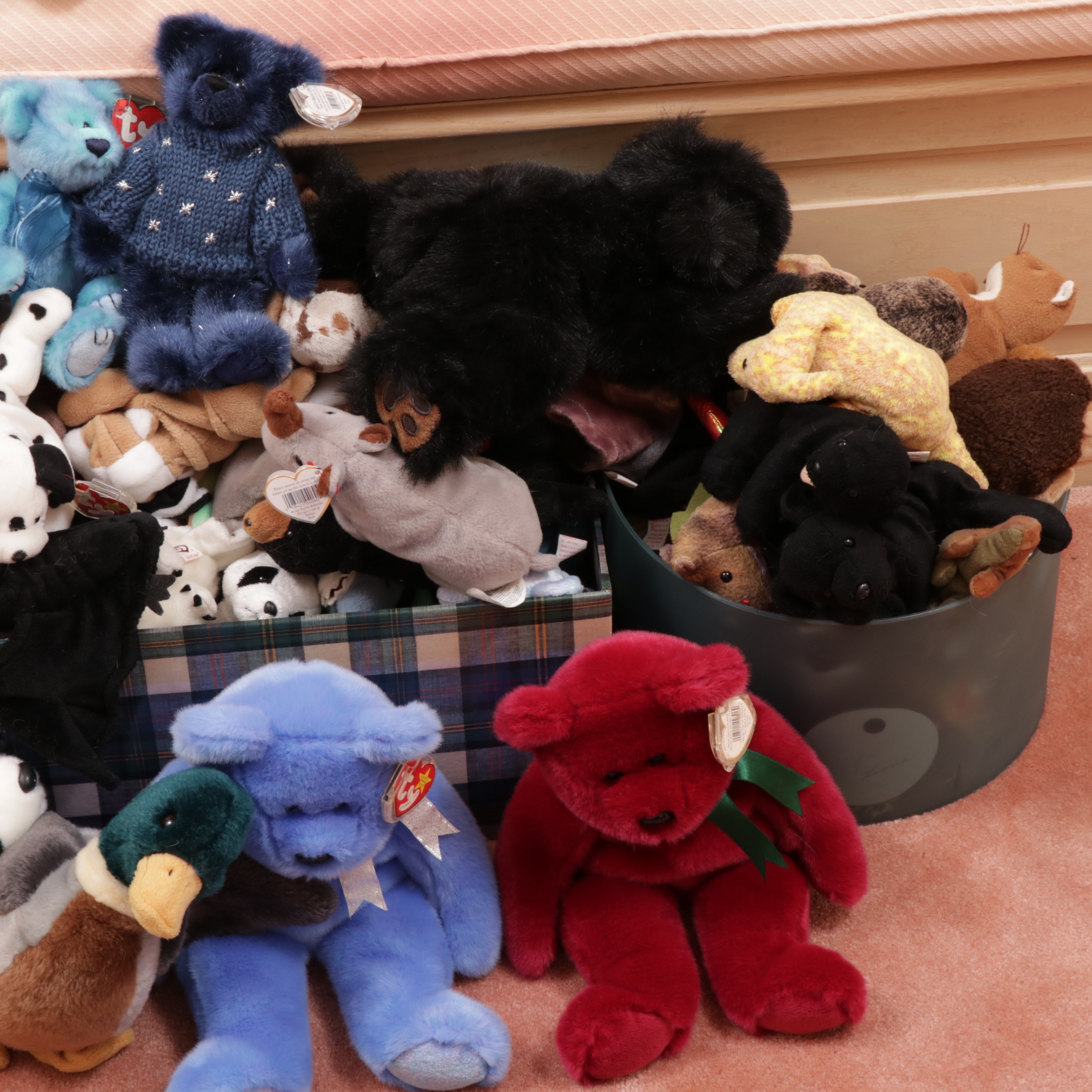 Ty Beanie Babies Collection