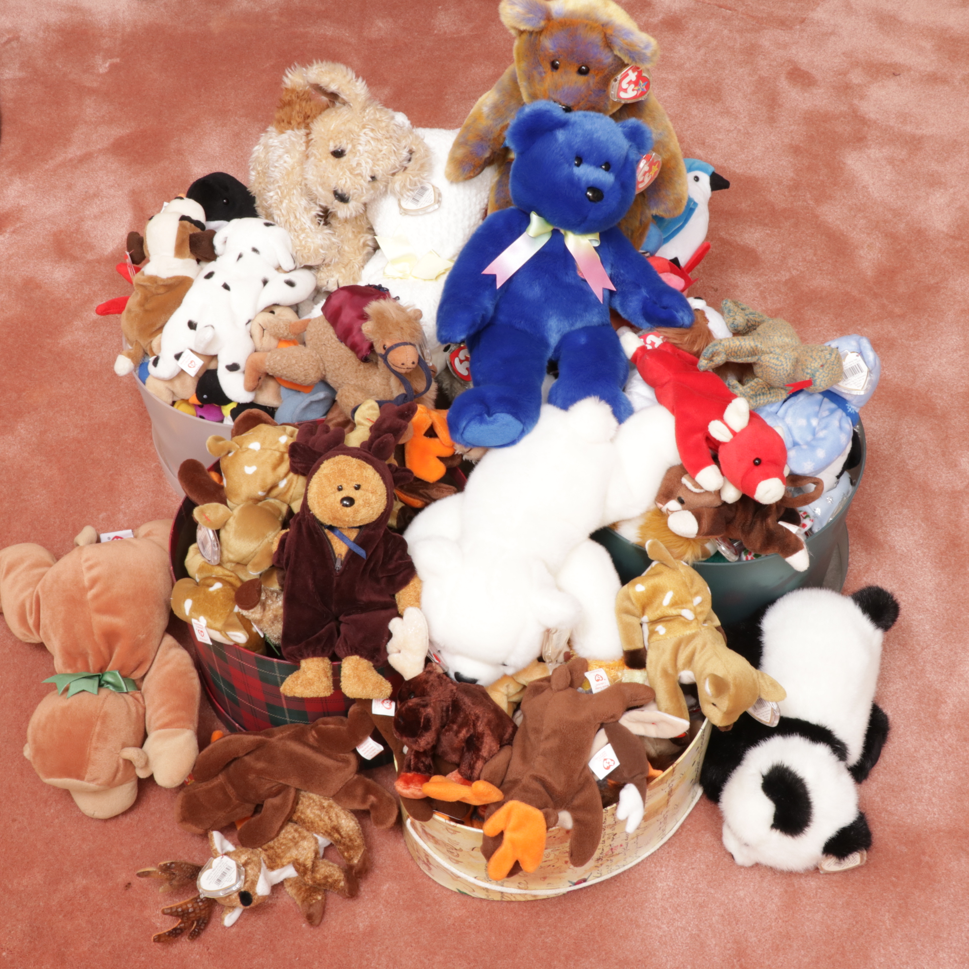 Ty Beanie Babies Collection