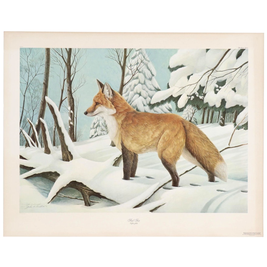 John Ruthven Offset Lithograph "Red Fox"