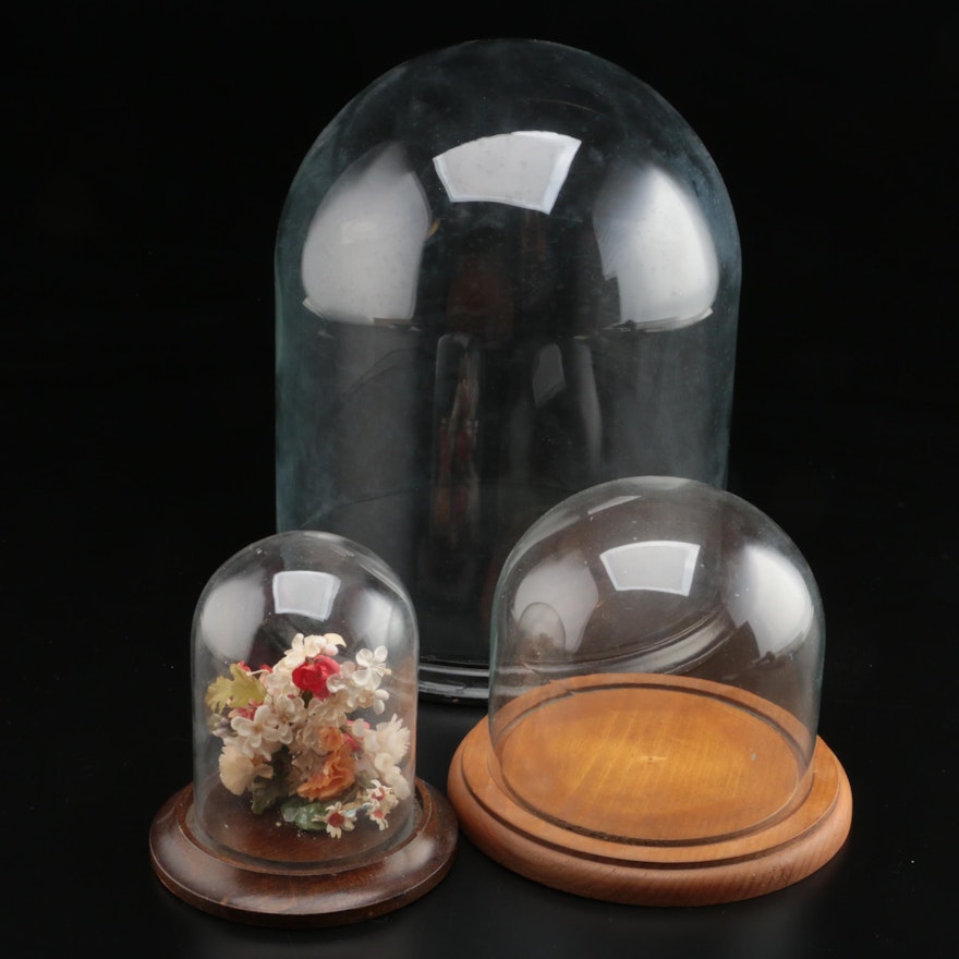 Glass Cloches with Wooden Bases