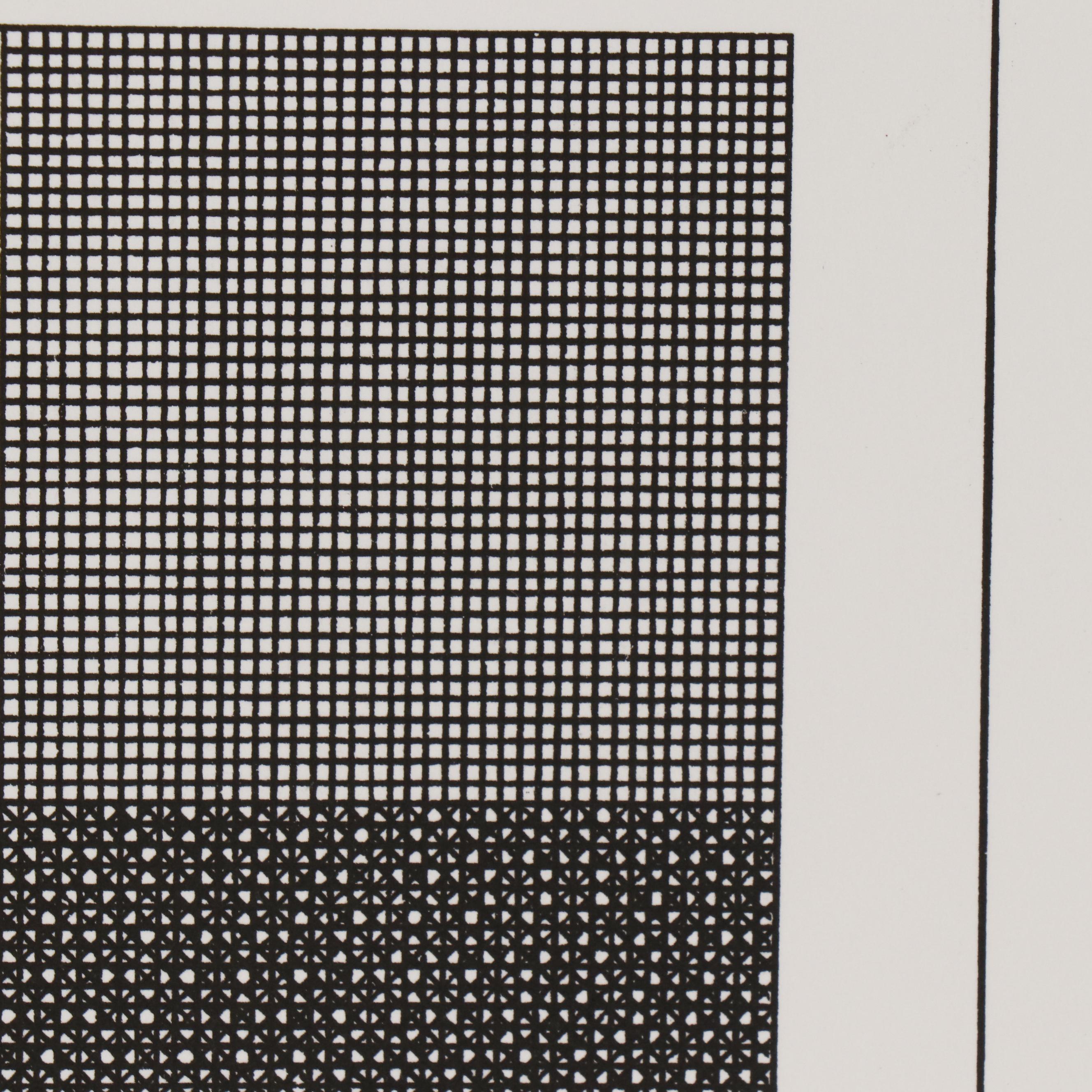 Sol LeWitt Silkscreen for "Ficciones", 1984