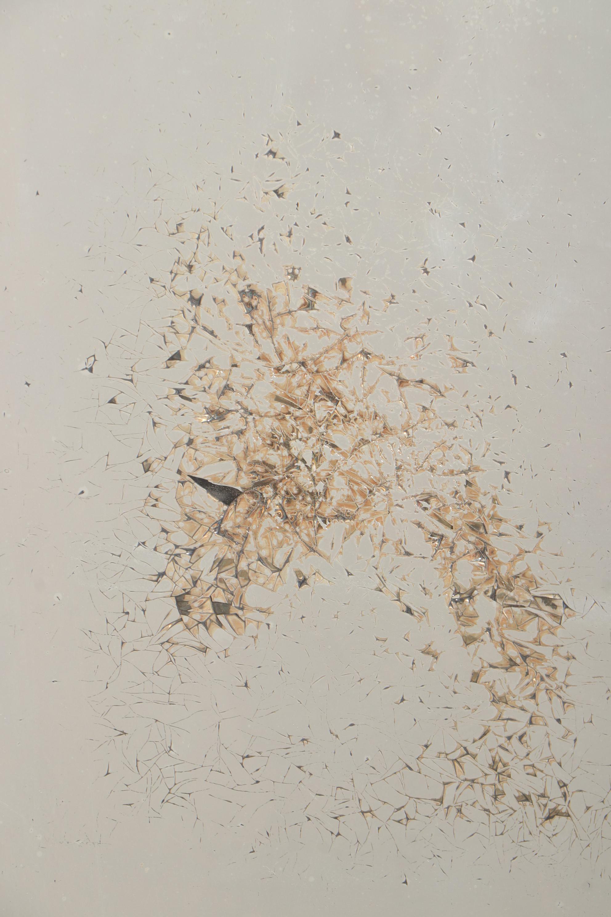 Victorian Mirrored and Stained Glass Walnut Room Divider, Late 19th Century