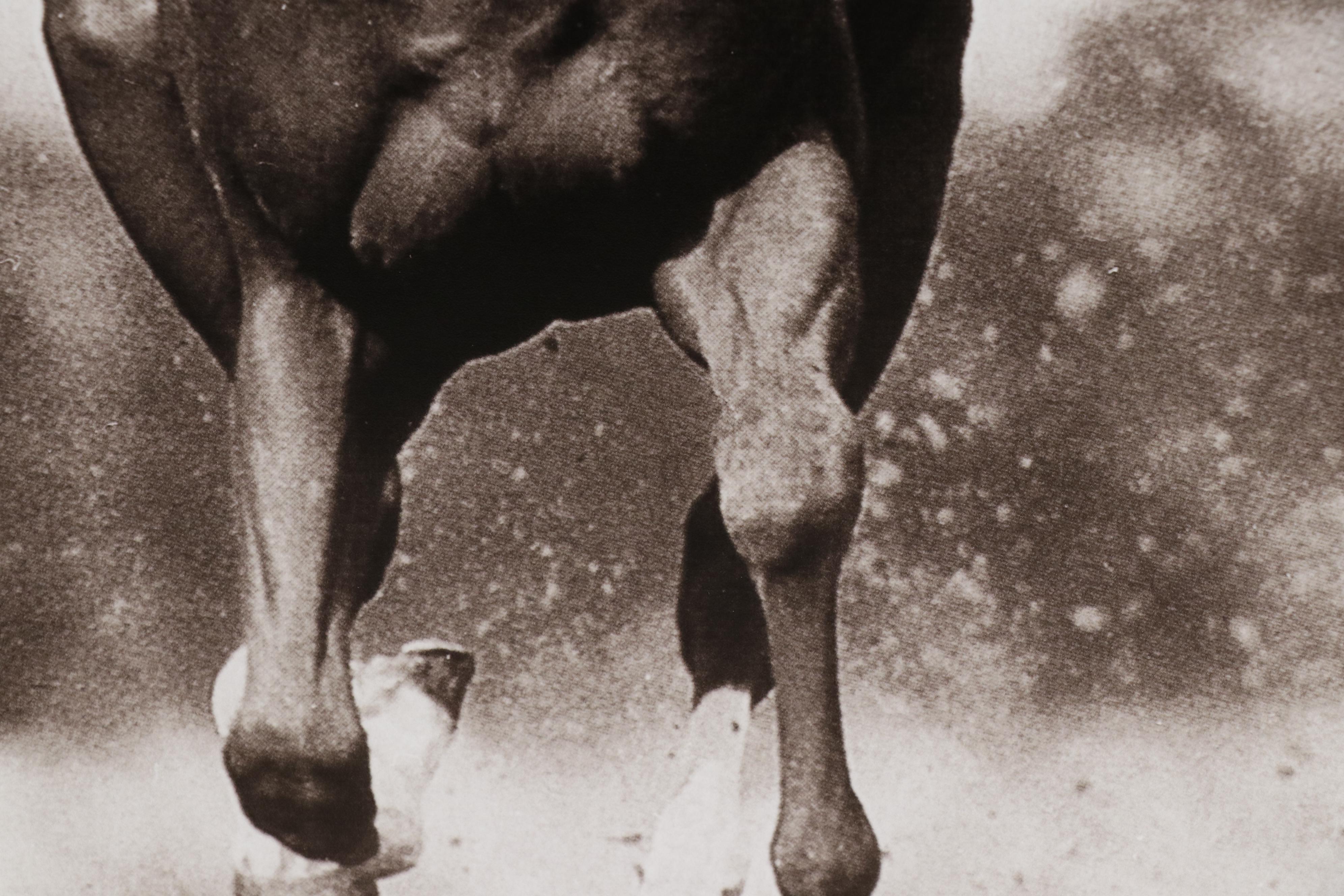 Ron Turcotte Signed Secretariat Photo Print