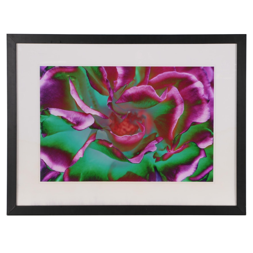 Brad Oliphant Digital Solarized Photographic Print "Dual Fusion (left)"