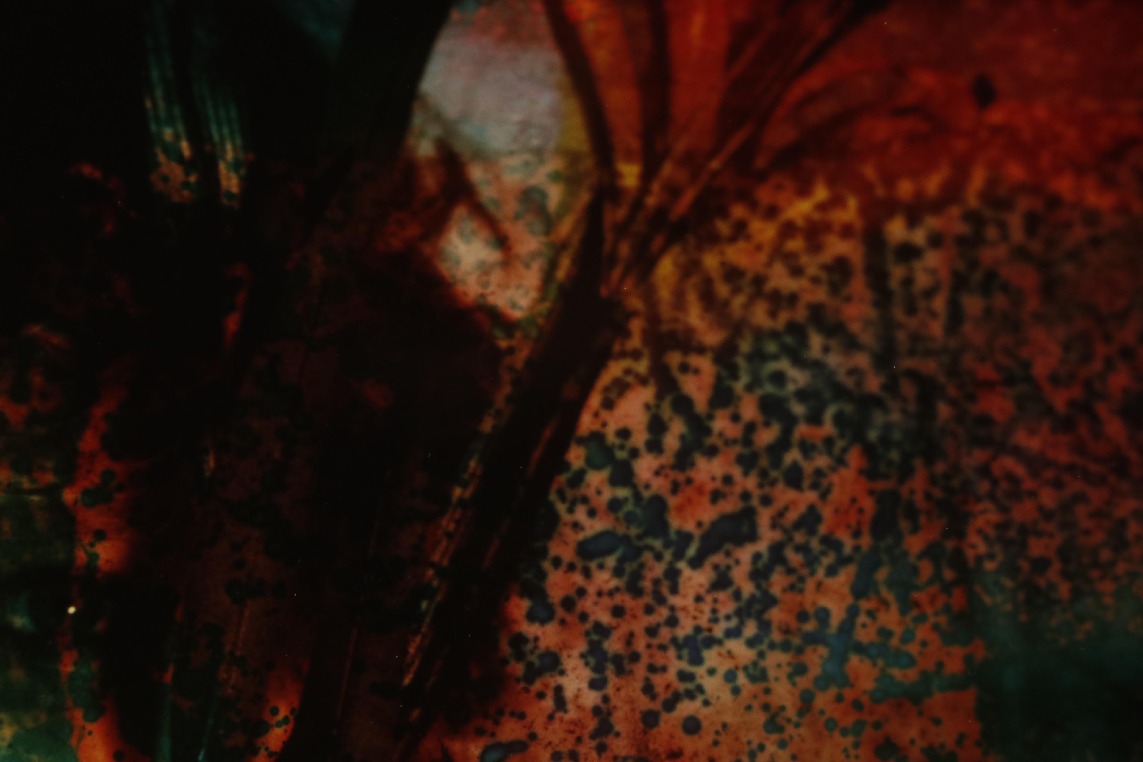 Barbara Hershey Portrait Cliché Verre Photograph "Flower Mask", 1988