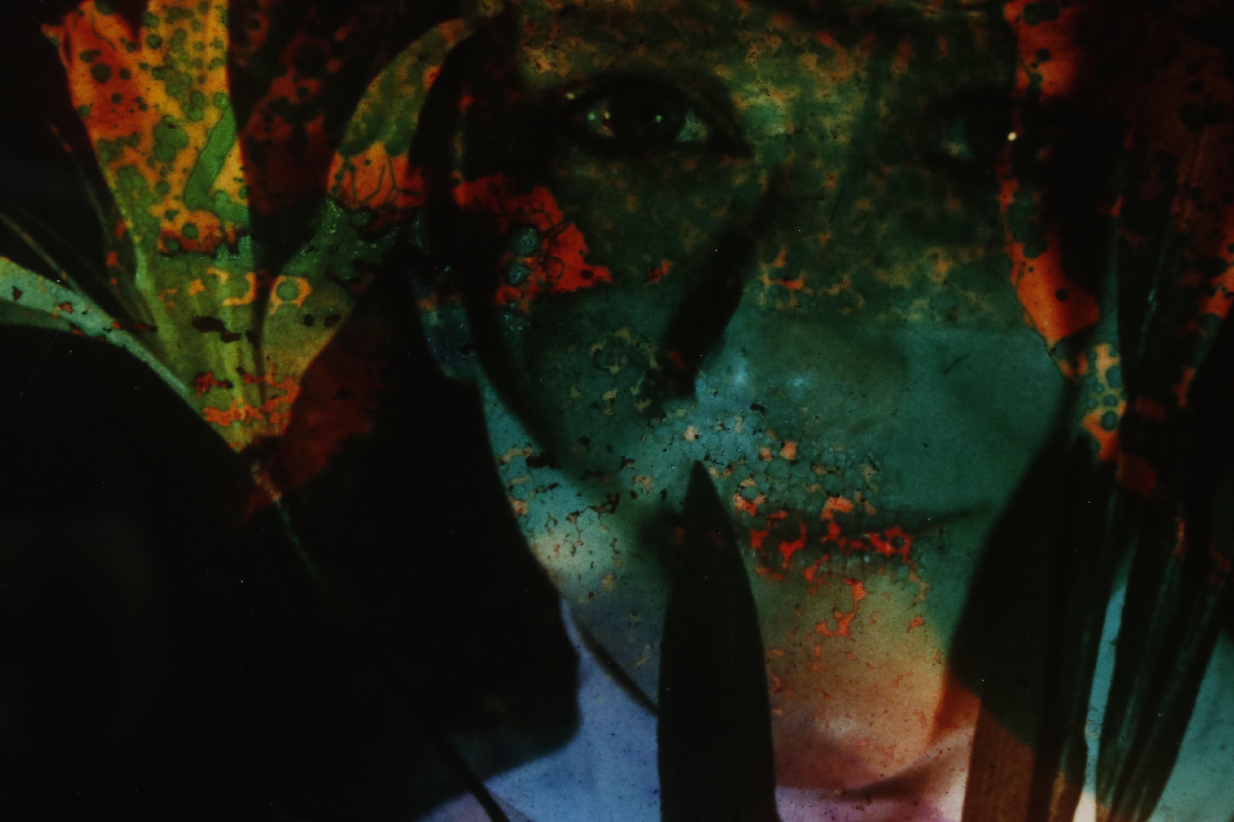 Barbara Hershey Portrait Cliché Verre Photograph "Flower Mask", 1988