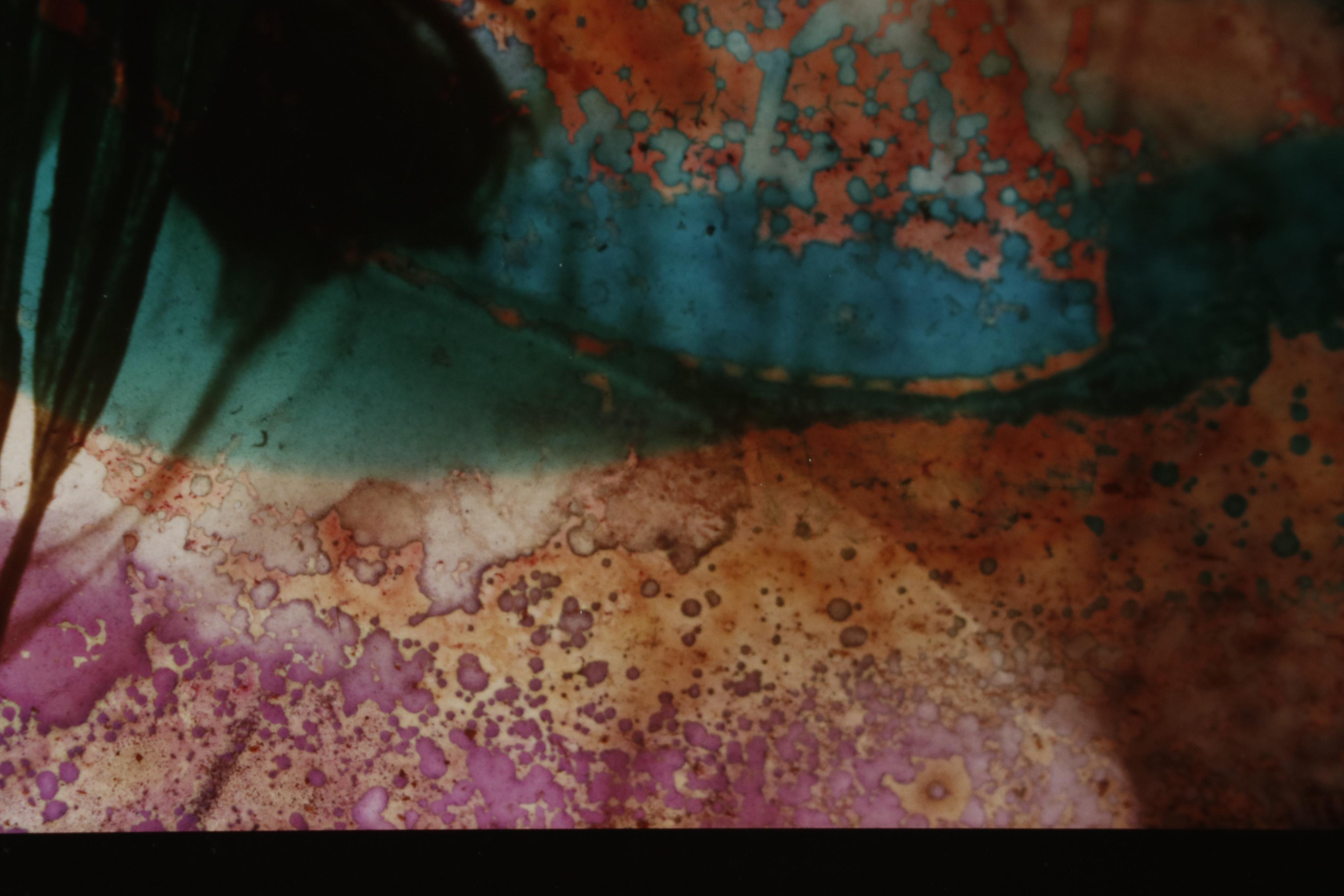 Barbara Hershey Portrait Cliché Verre Photograph "Flower Mask", 1988