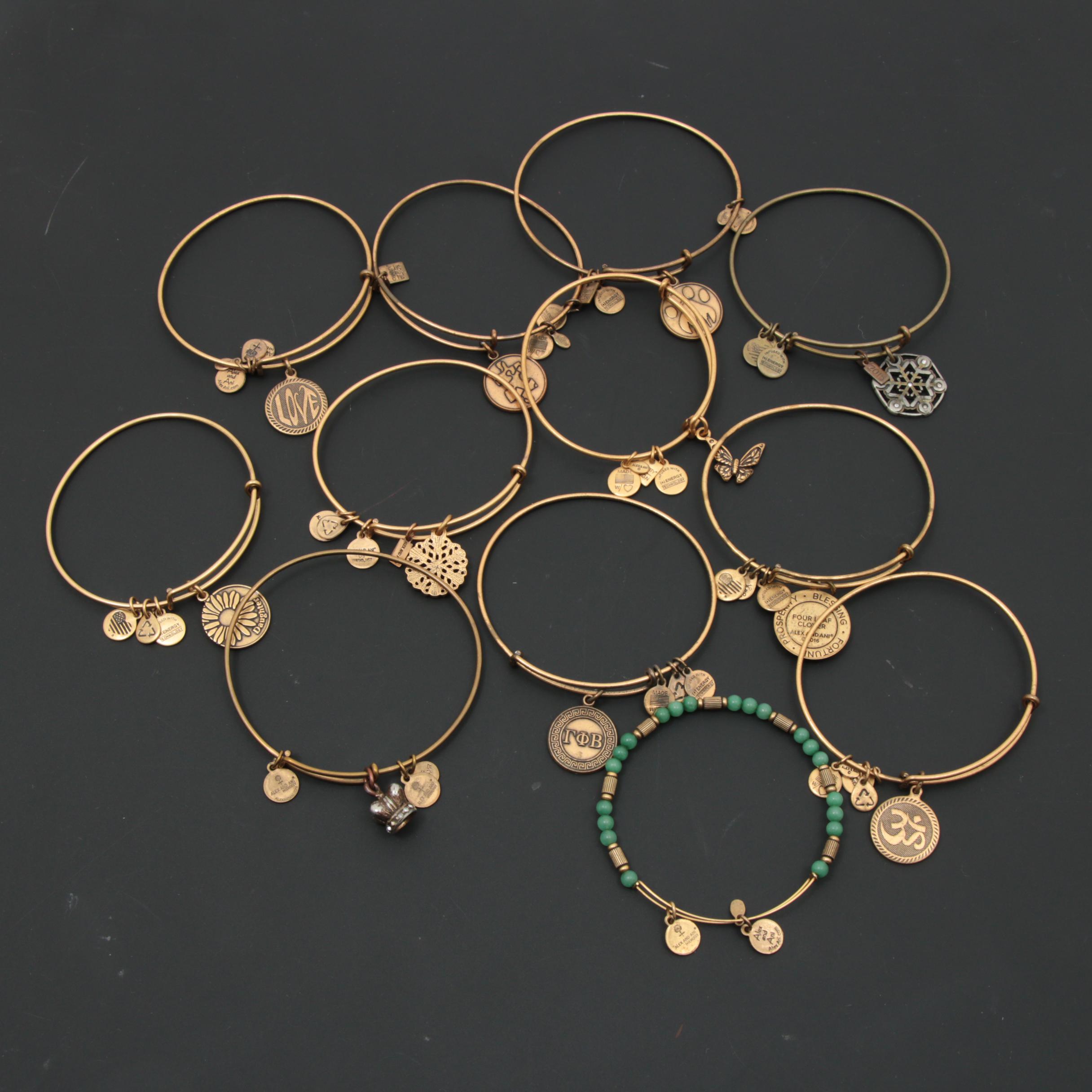Alex & Ani (+) Energy Bracelets